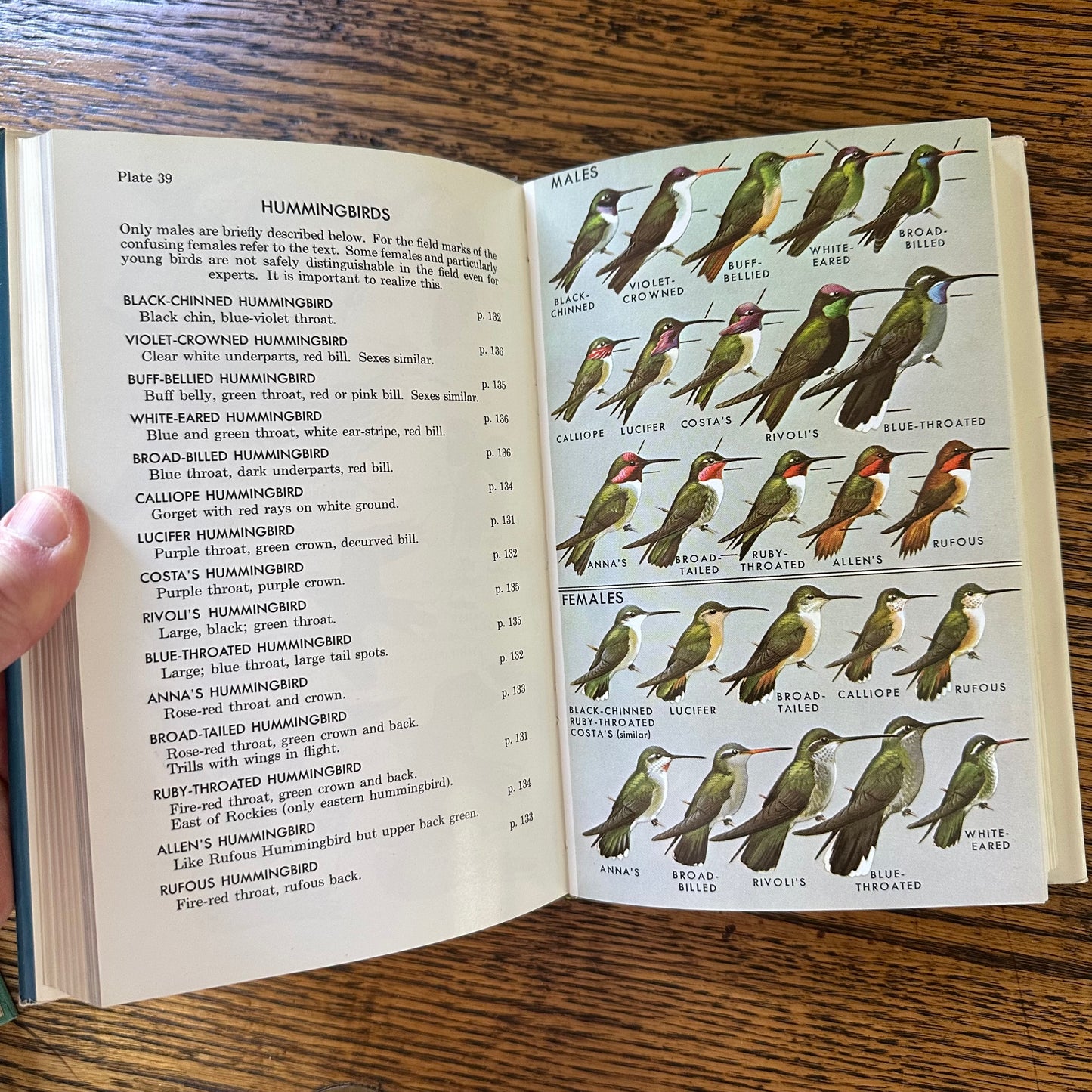 Peterson Field Guide Set of 4: Birds, Insects, Rocks/Minerals - Vintage Nature Books