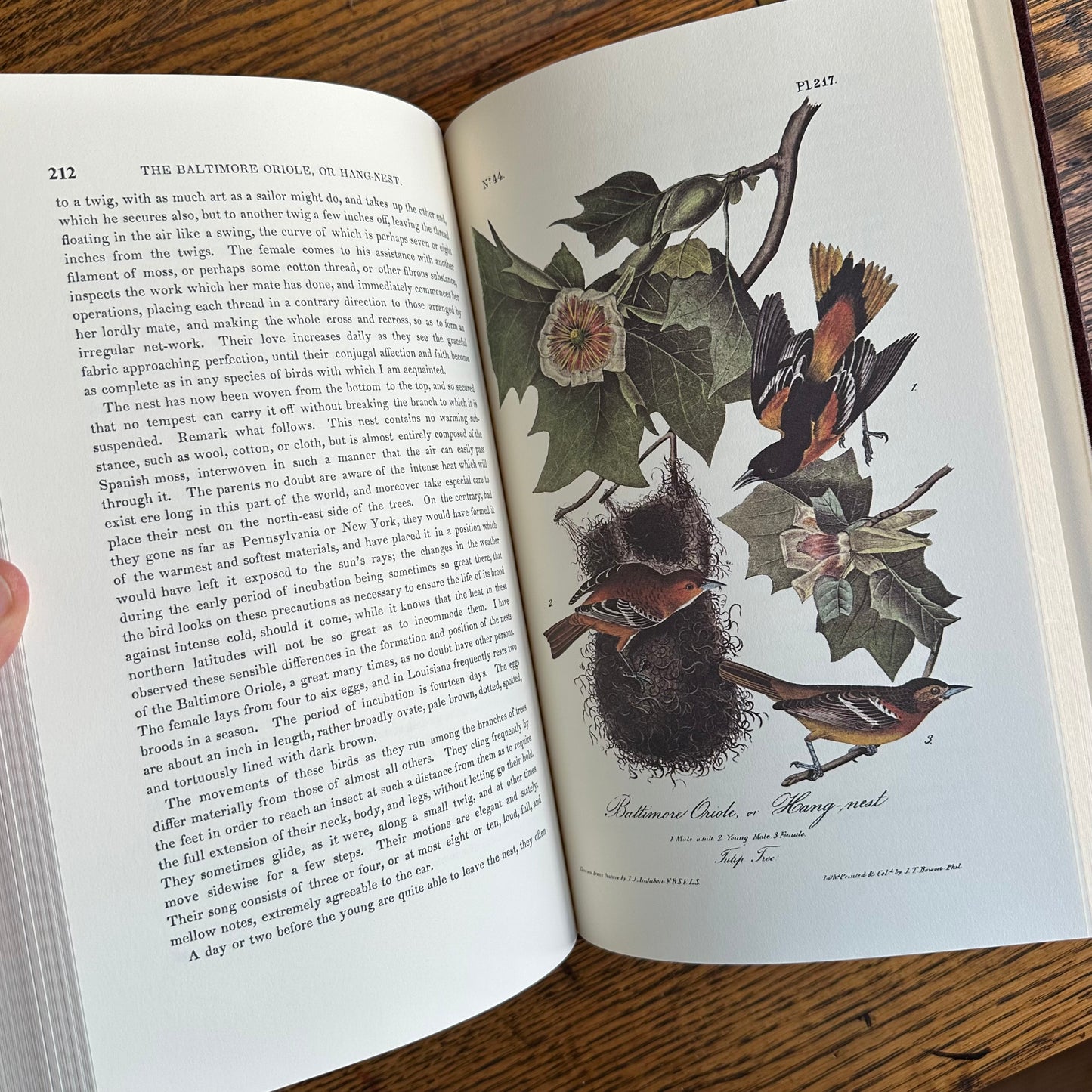 Set of 2 Slipcovered Volair Limited Editions of John James Audubon’s Classics - 1977