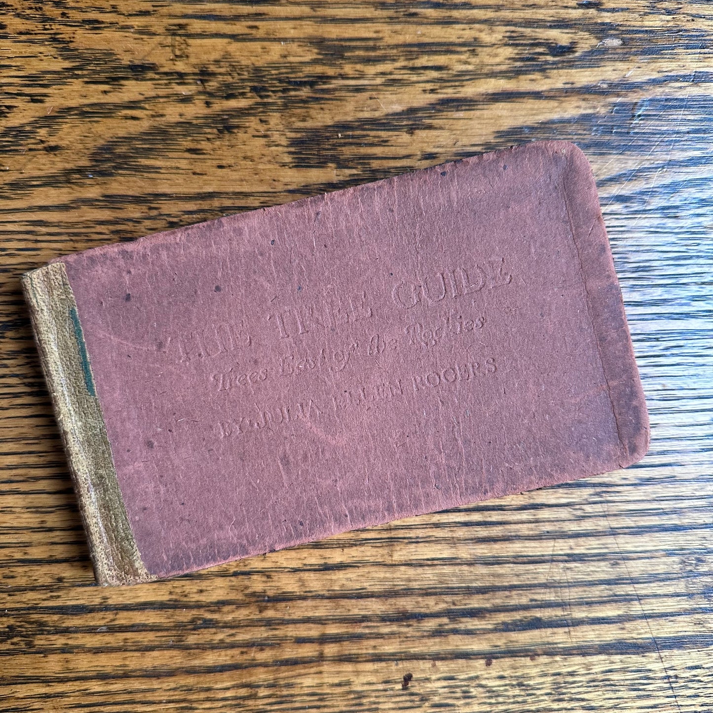 A Set of 3 Leather-Bound Pocket Nature Guides - 1916