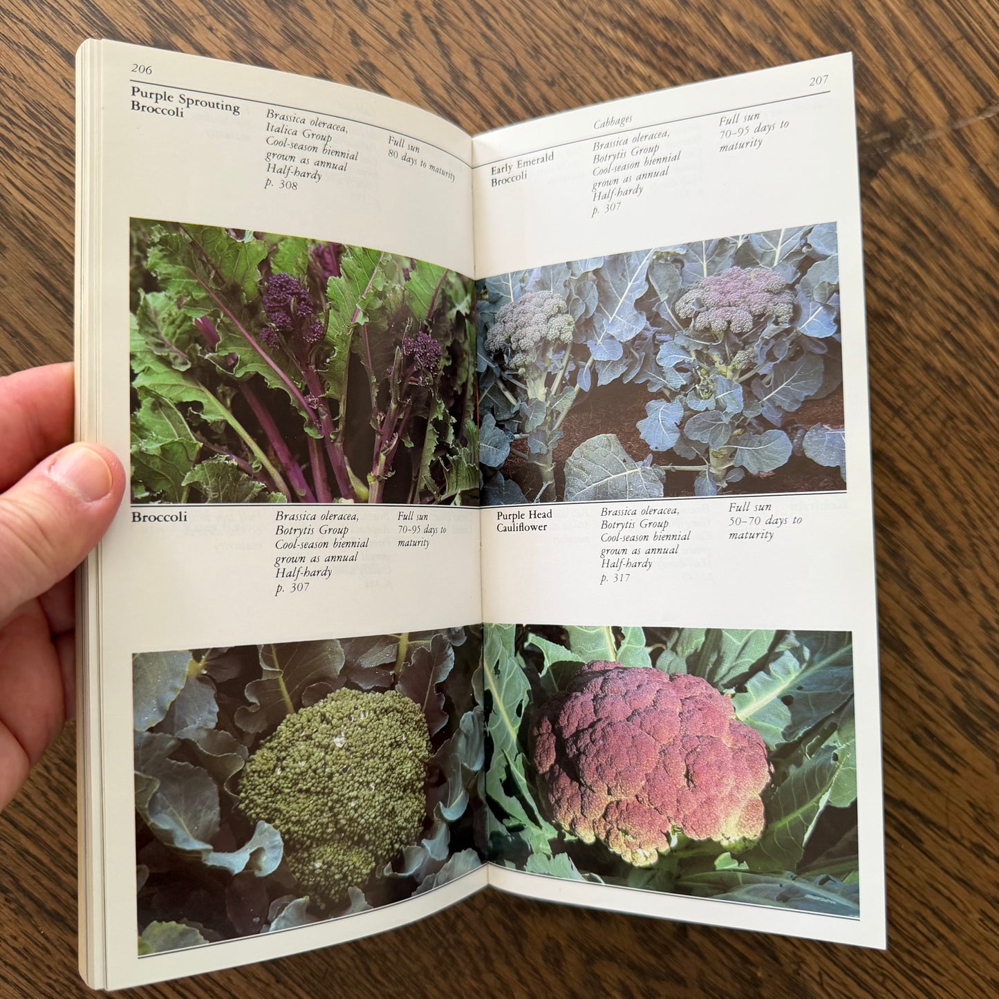 Taylor’s Guides to Gardening Set of 10 | Houghton Mifflin 1986–1996 | Bulbs Roses Herbs Houseplants Garden Design | Vintage Gardening Books