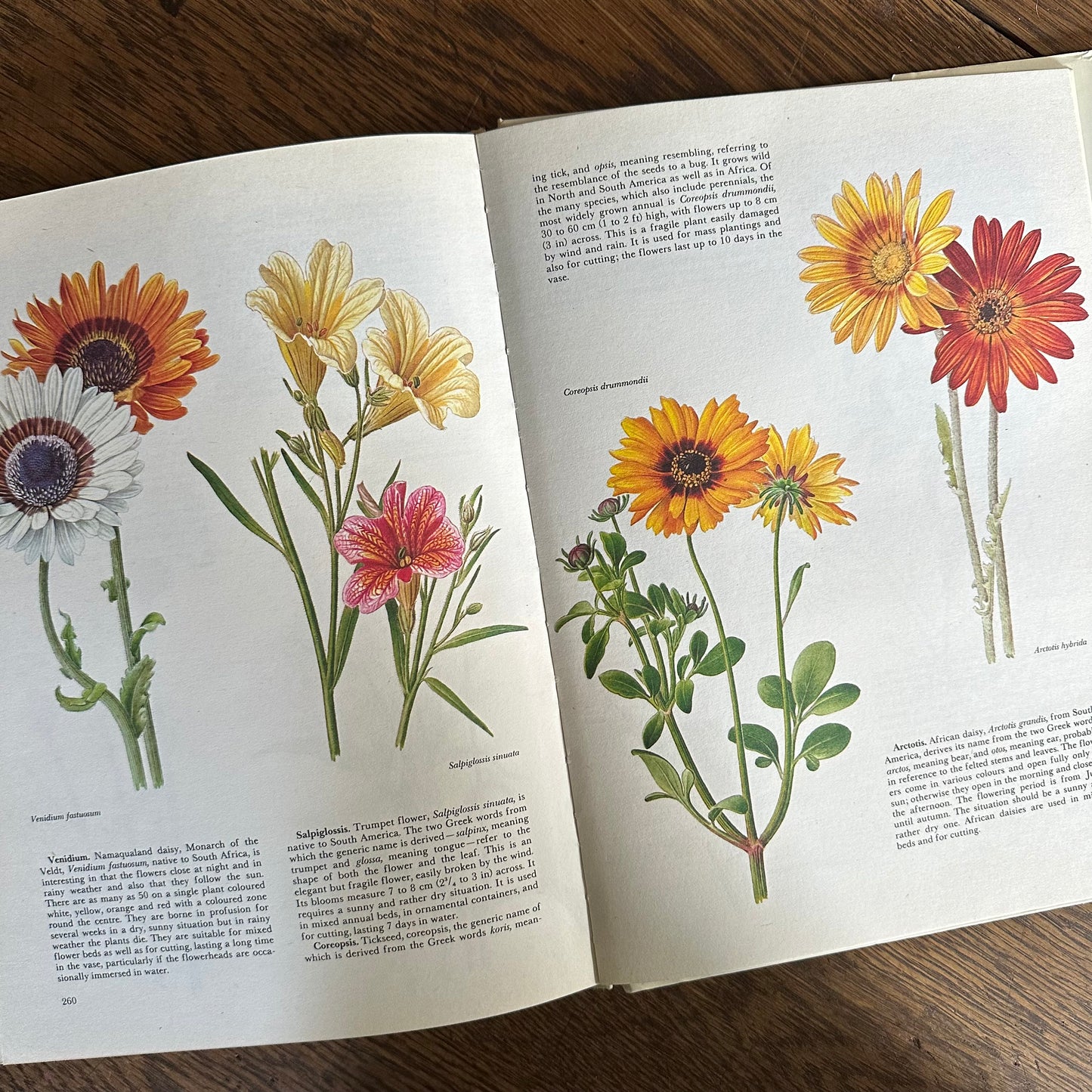 The Garden Flowers Book, 1986