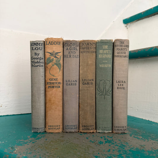 6 Antique Fiction Books in Fabulous Shades of Blue - 1900-1925 - Lillian Garis Laura Lee Hope Gene Stratton Porter, etc.