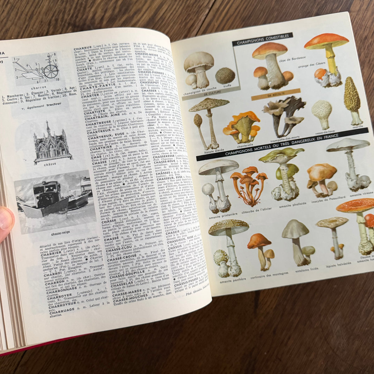 Petit Larousse Illustré, 1976 — French Encyclopedic Dictionary | 71,000 Articles, 5,535 Illustrations, Maps & Color Atlas | Librairie Larousse