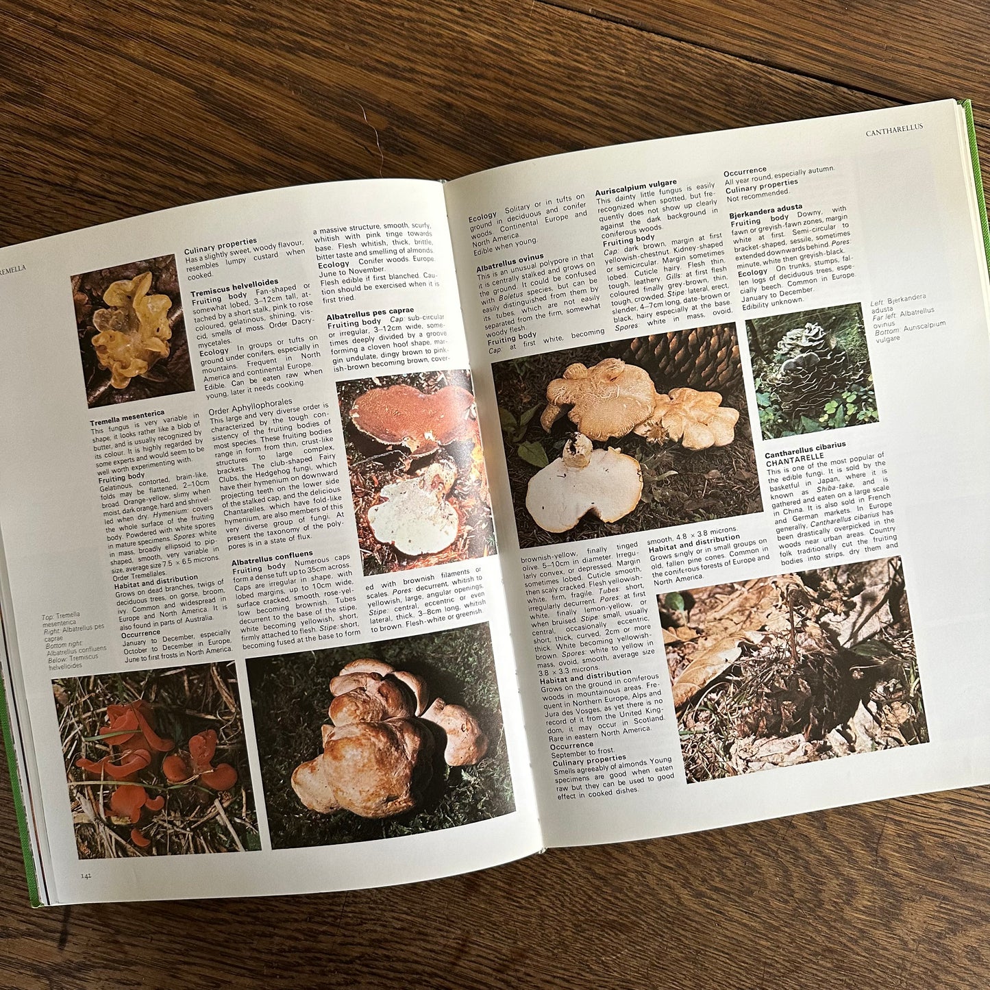 The Encyclopedia of Mushrooms, 1979