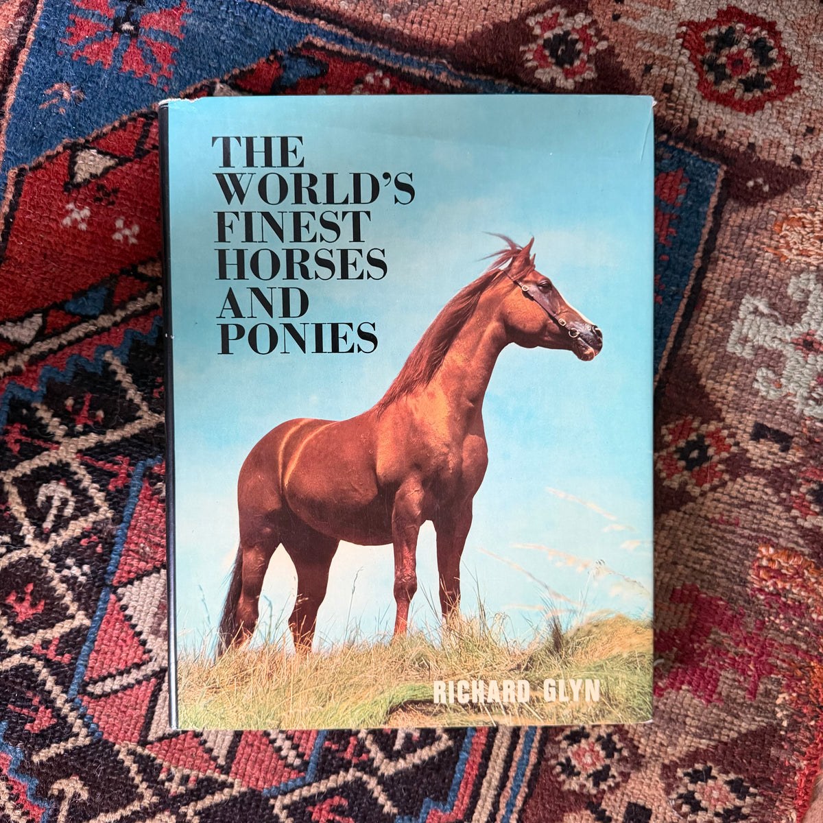 The World’s Finest Horses and Ponies - 1971 Vintage Coffee Table Book by Richard Glyn with Photos from Sally Anne Thompson