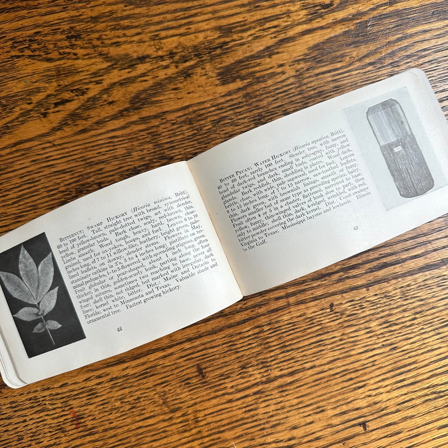 A Set of 3 Leather-Bound Pocket Nature Guides - 1916