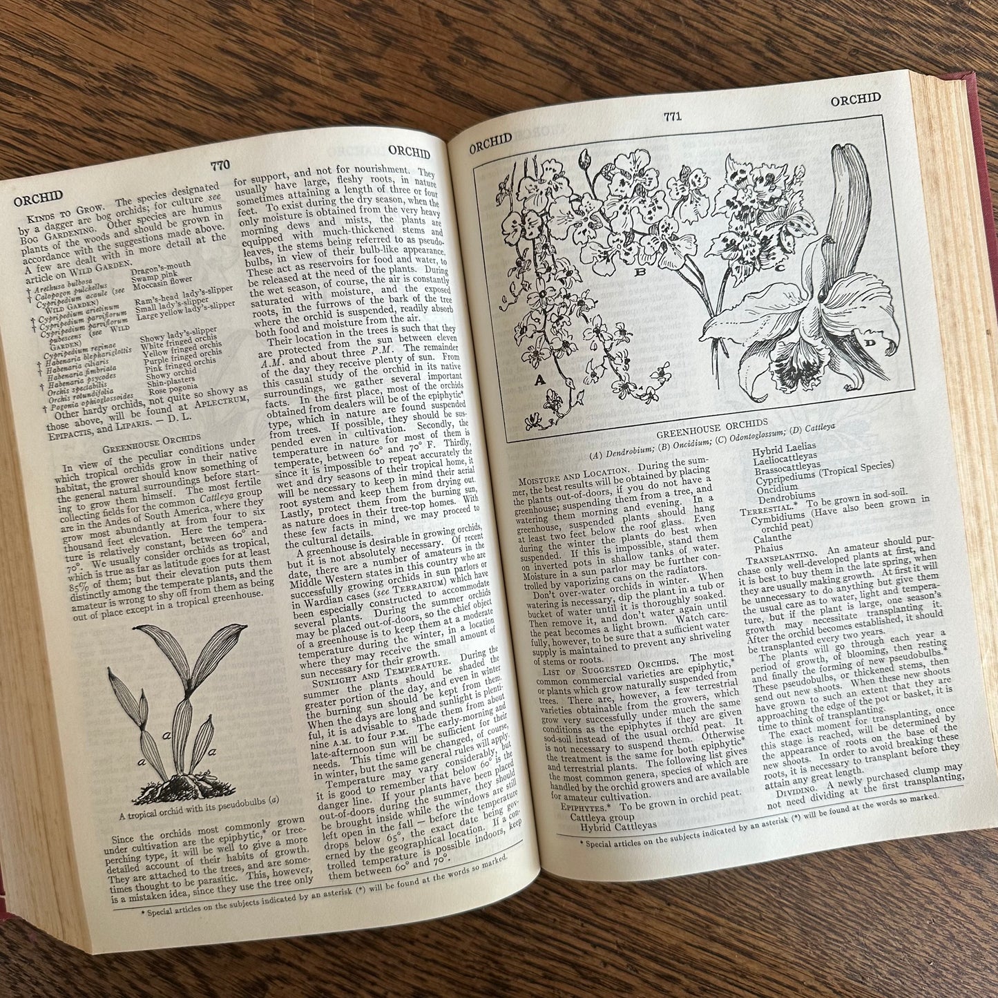 Taylor’s Encyclopedia of Gardening, 1948