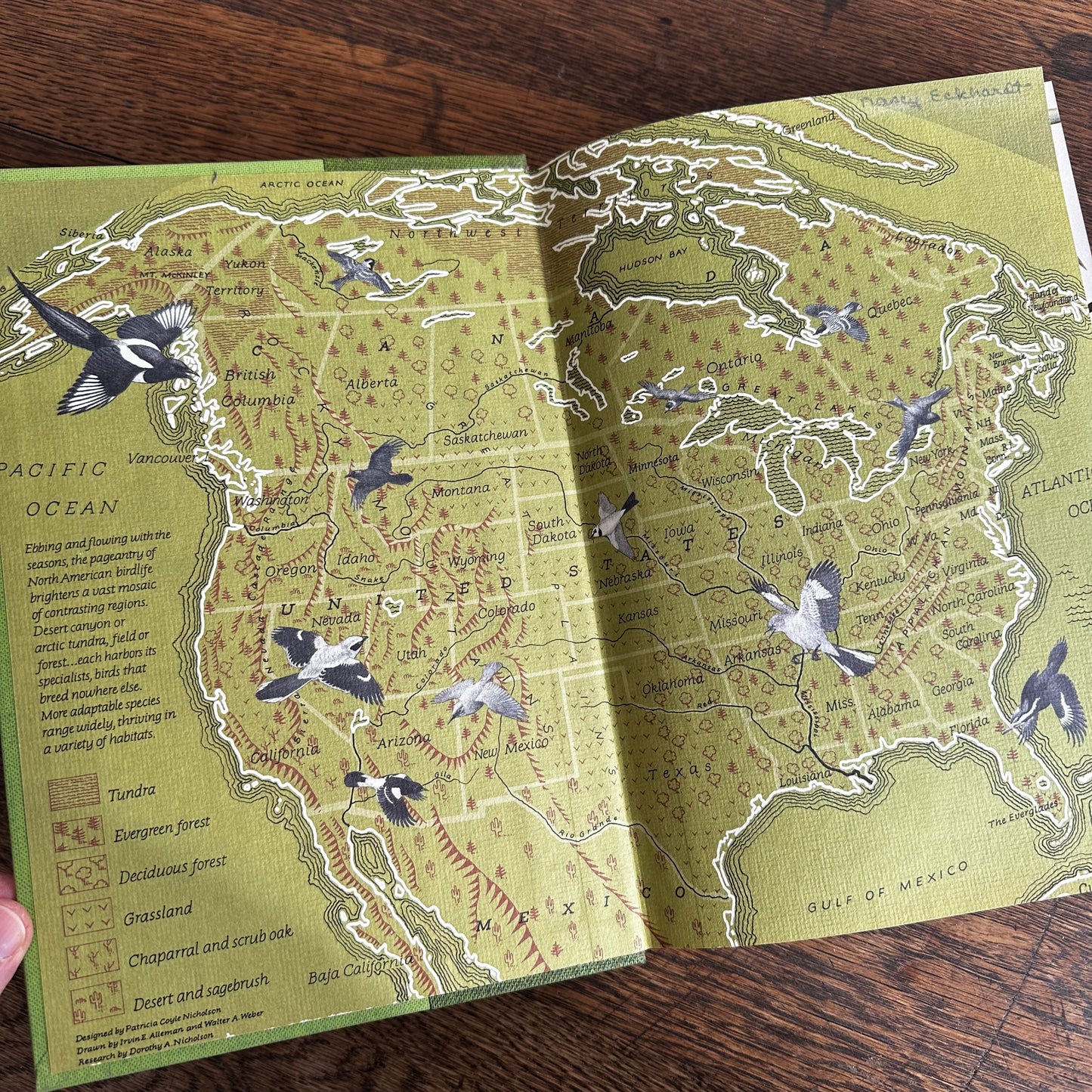 Vintage 1964 Song and Garden Birds of North America – National Geographic Society – Alexander Wetmore – Illustrated Bird Guide w/ Companion Booklet – Birdwatching Book