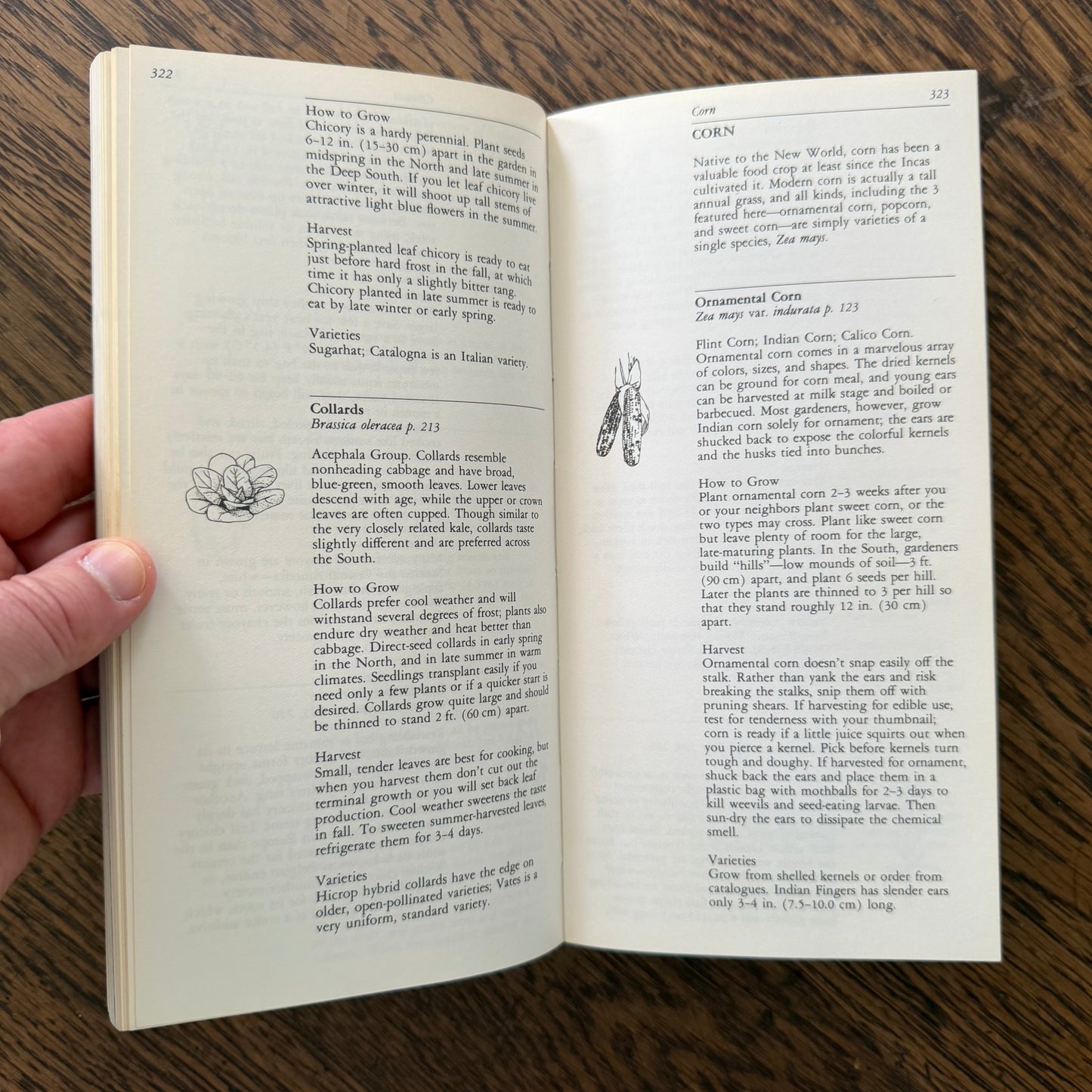 Taylor’s Guides to Gardening Set of 10 | Houghton Mifflin 1986–1996 | Bulbs Roses Herbs Houseplants Garden Design | Vintage Gardening Books