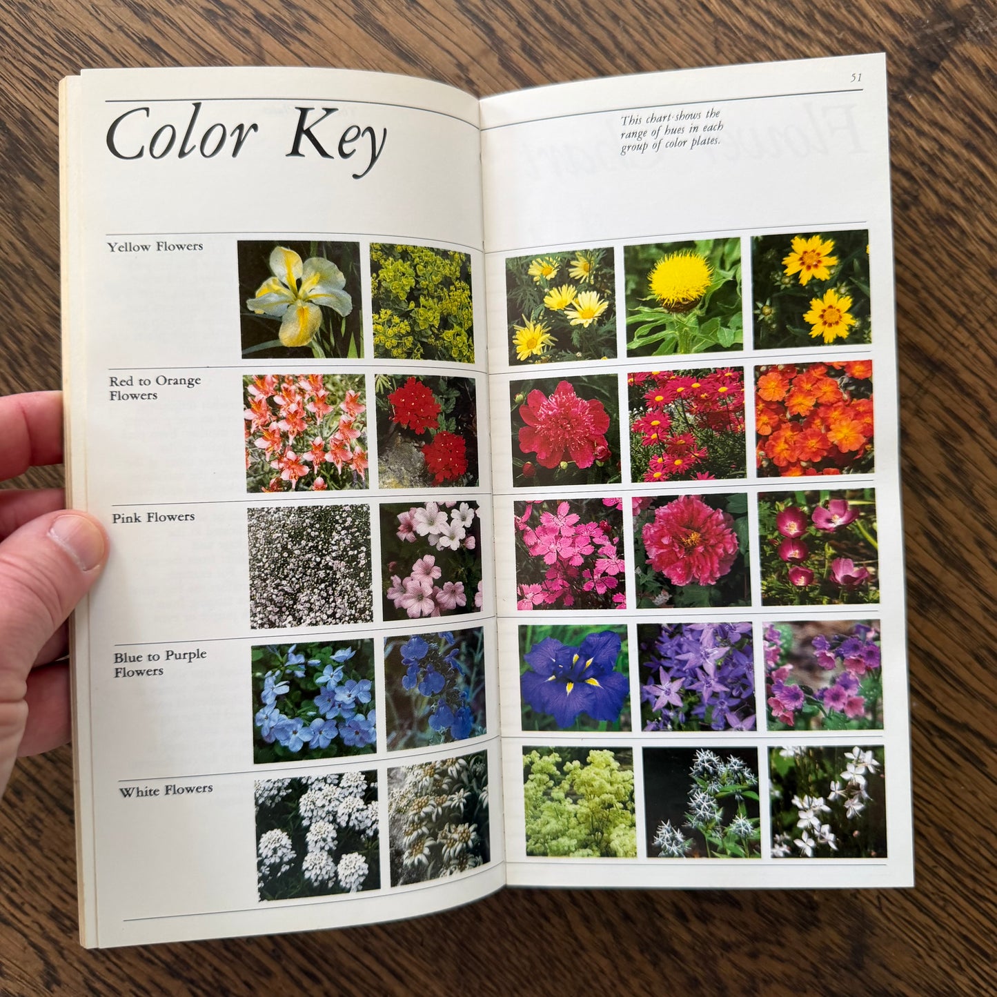 Taylor’s Guides to Gardening Set of 10 | Houghton Mifflin 1986–1996 | Bulbs Roses Herbs Houseplants Garden Design | Vintage Gardening Books