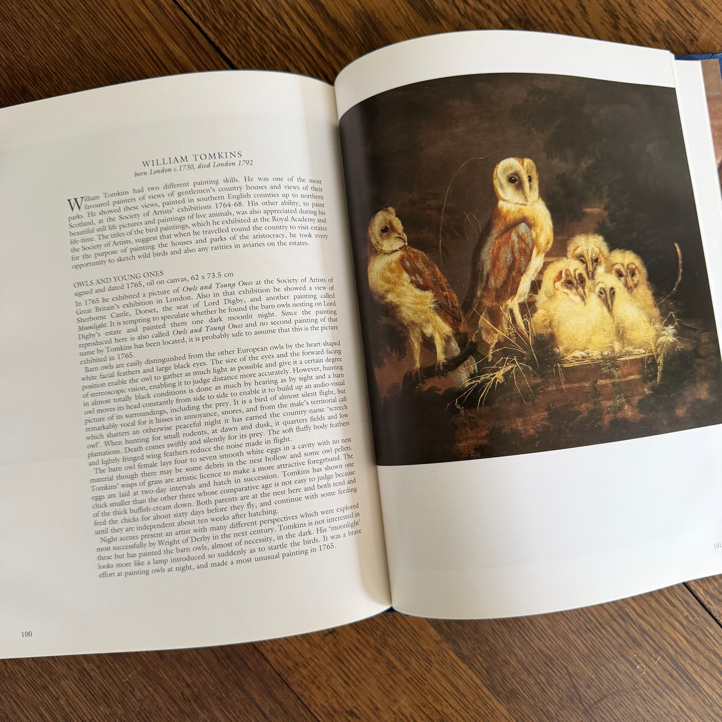 Bird Painting - The Eighteenth Century by Christine E Jackson, 1994: Antique Collectors Club, Vintage Coffee Table Book