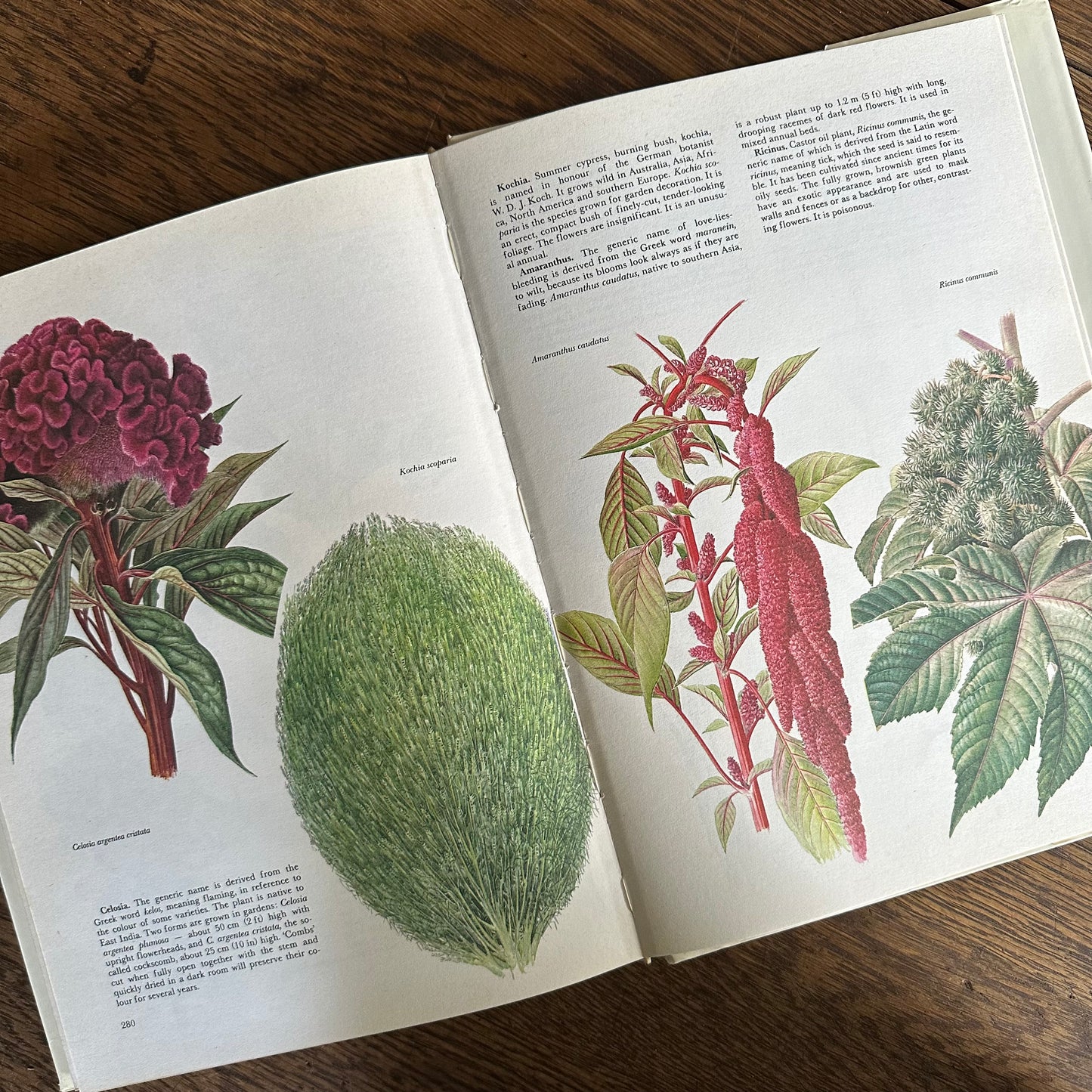 The Garden Flowers Book, 1986