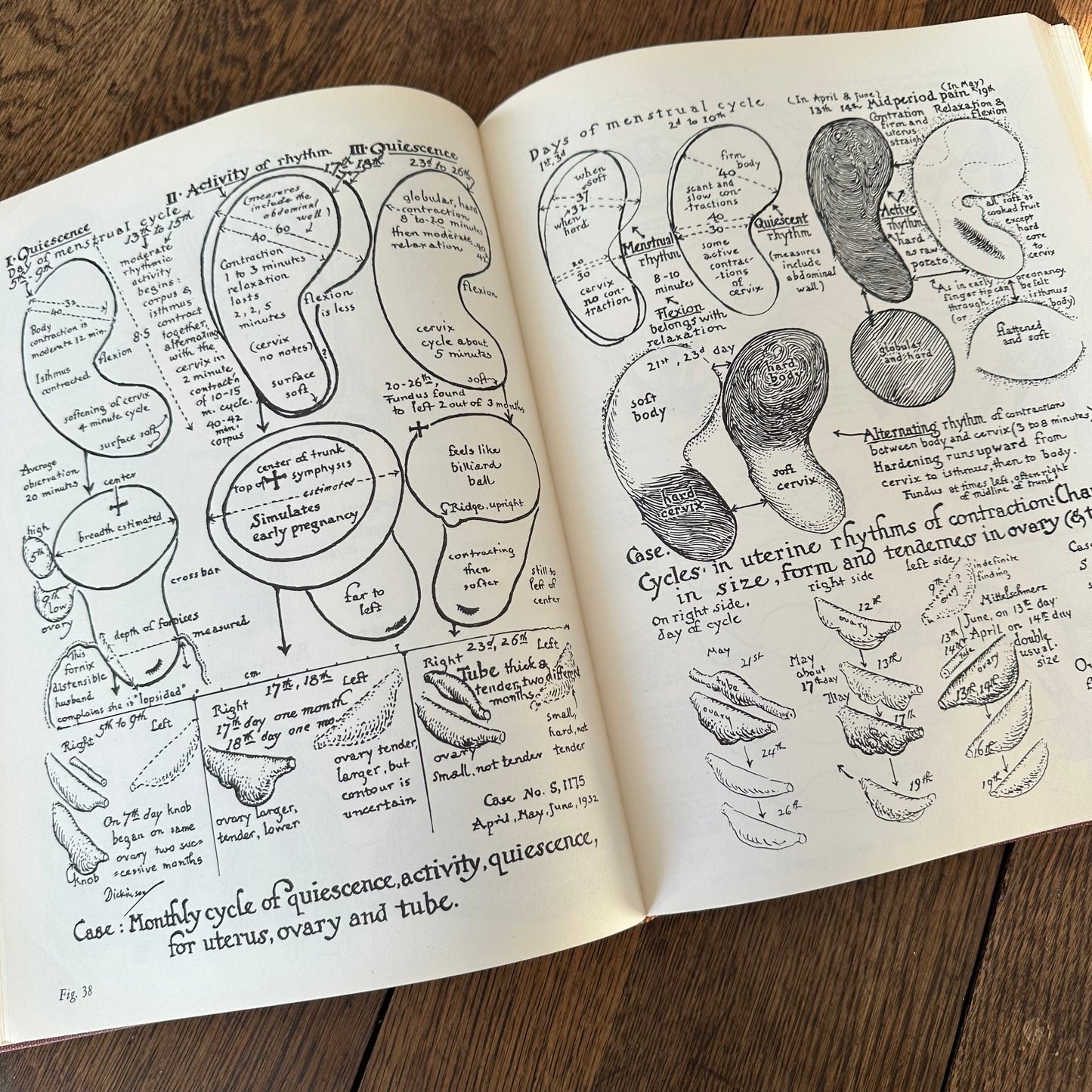 Human Sex Anatomy: A Topographical Hand Atlas, 1949