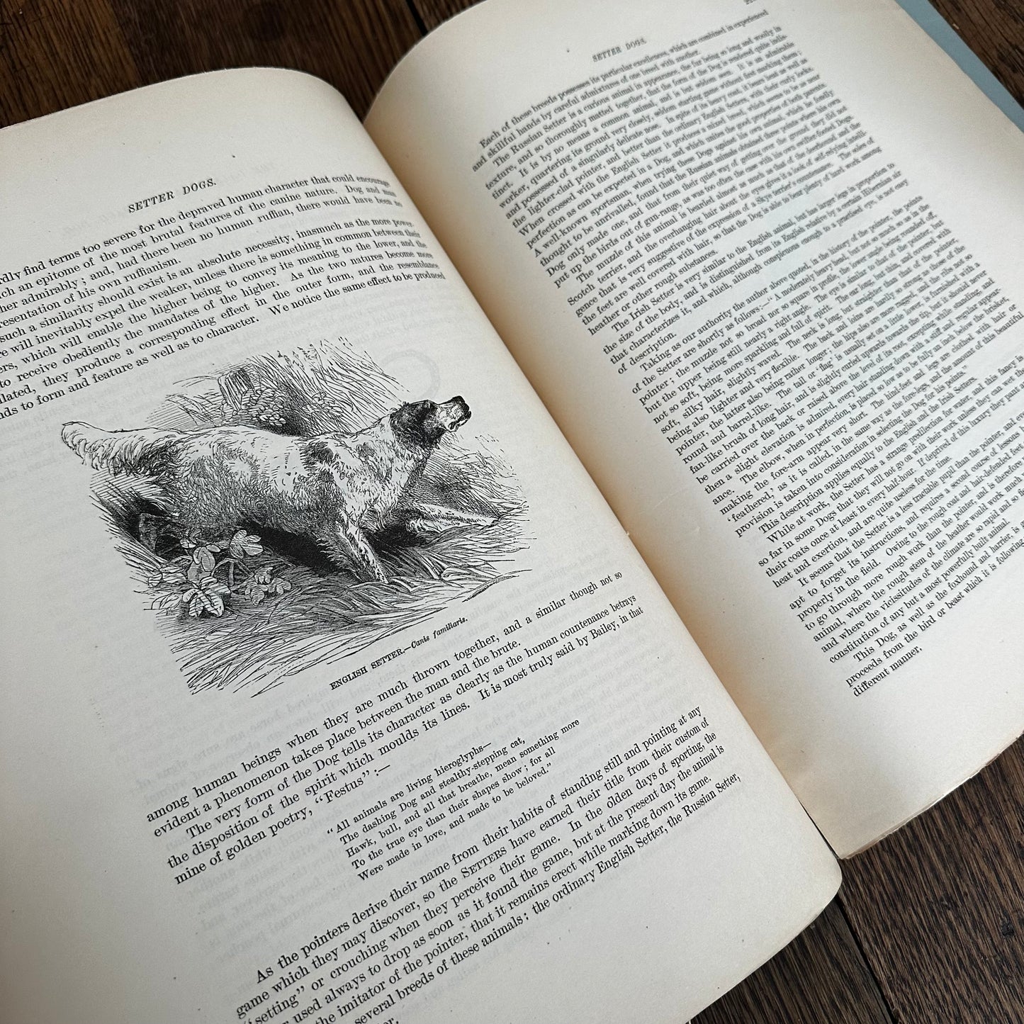 Complete 60-Part Set — Animate Creation: A Popular Edition of Our Living World, 1885-1898