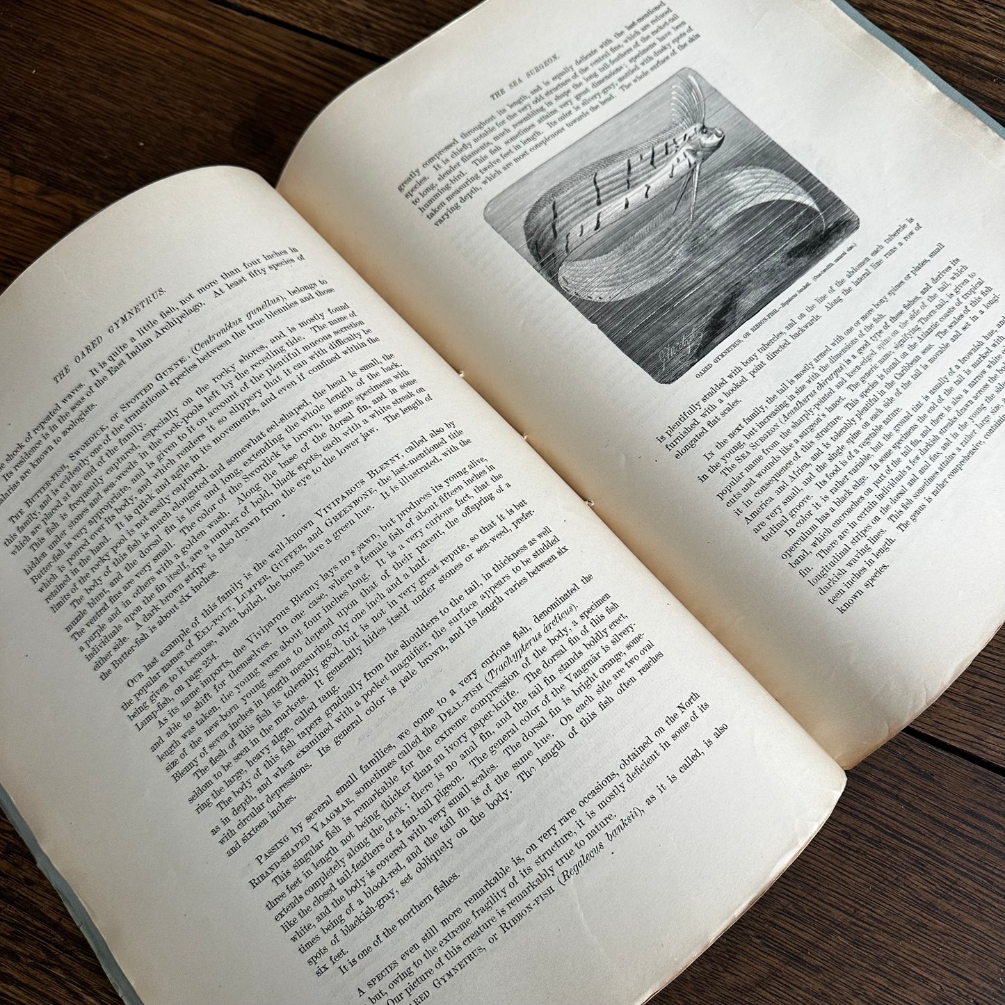 Complete 60-Part Set — Animate Creation: A Popular Edition of Our Living World, 1885-1898