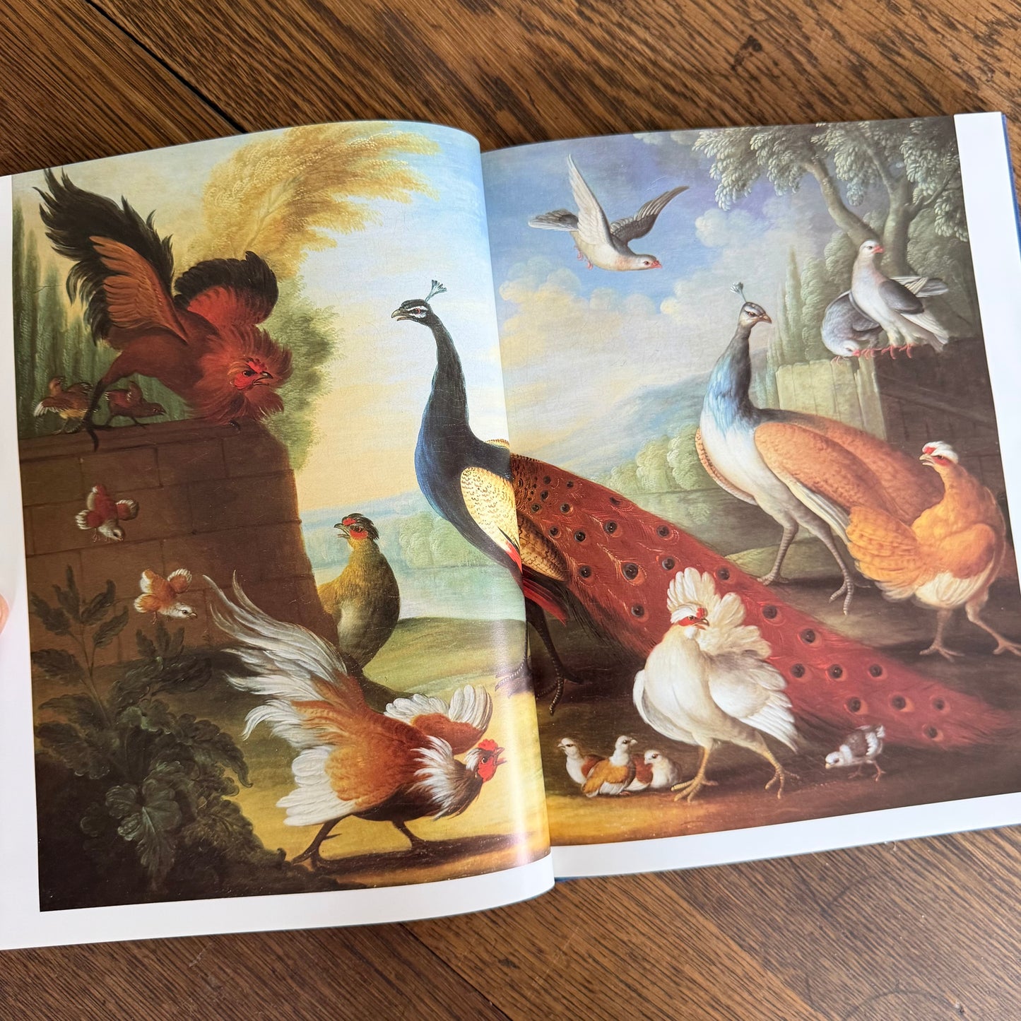 Bird Painting - The Eighteenth Century by Christine E Jackson, 1994: Antique Collectors Club, Vintage Coffee Table Book
