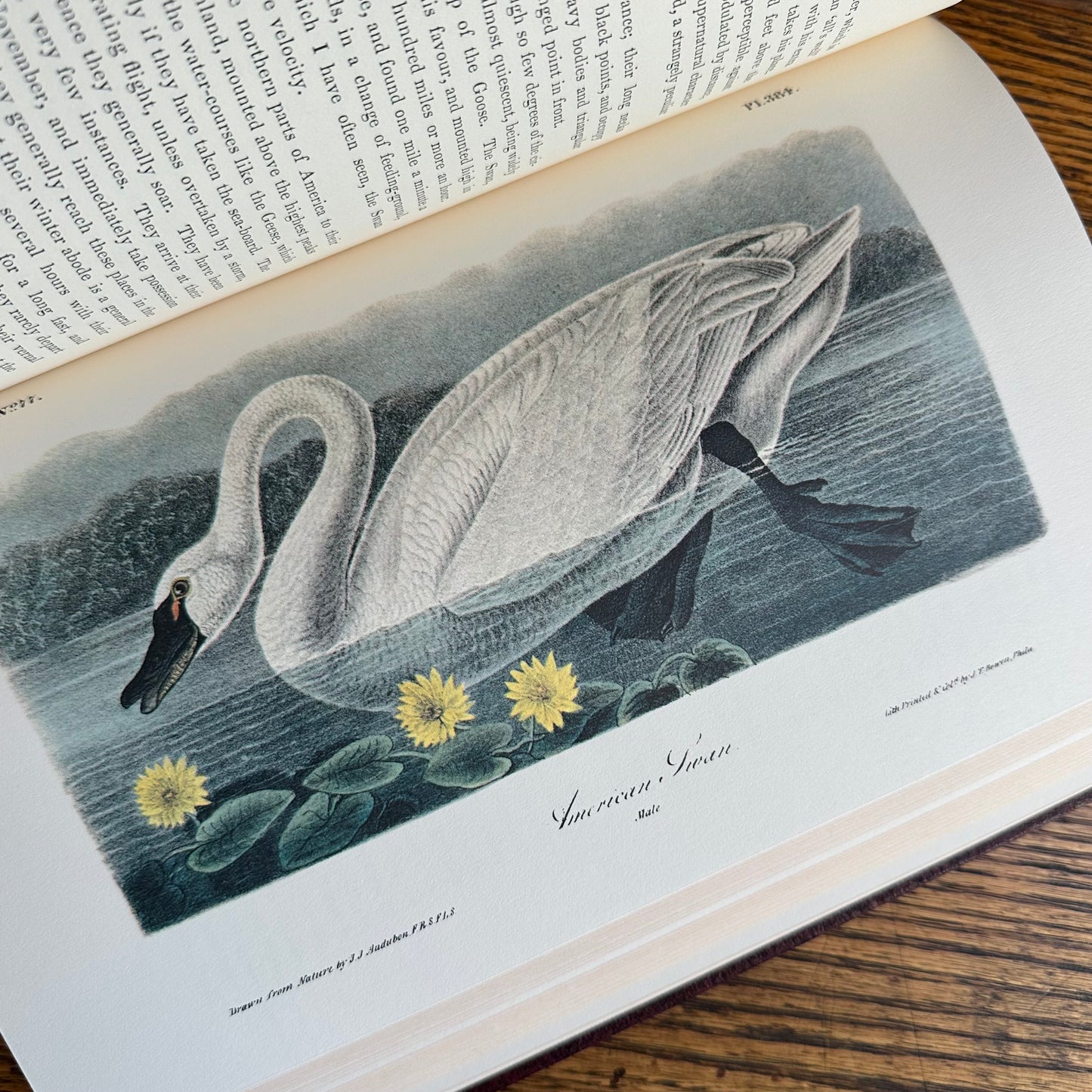 Set of 2 Slipcovered Volair Limited Editions of John James Audubon’s Classics - 1977