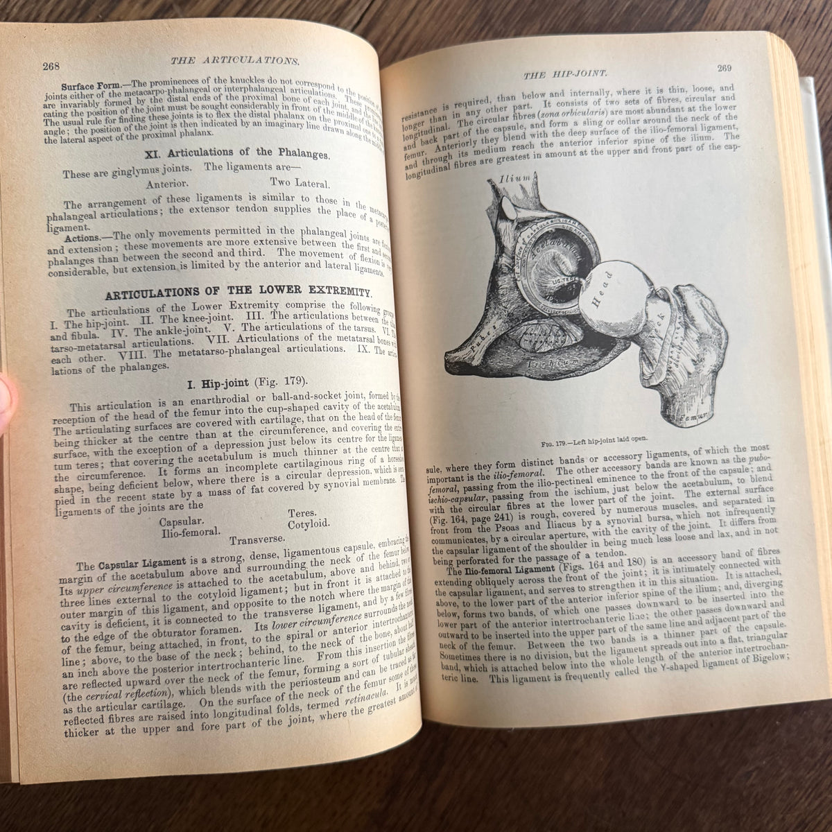 Gray’s Anatomy, 1977 Classic Collector’s Edition — Henry Gray, Descriptive & Surgical Anatomy | Bounty Books Hardcover, 780 Illustrations