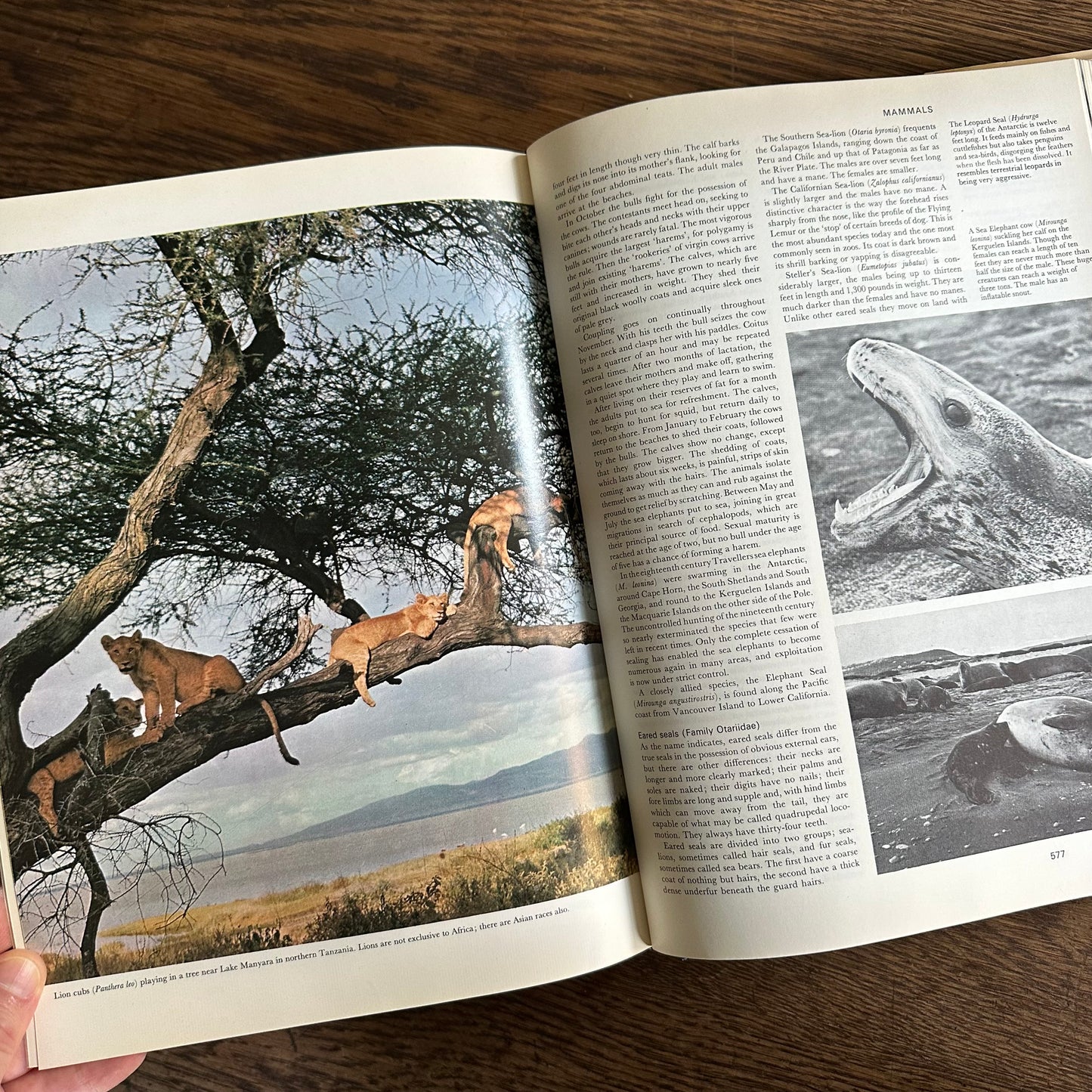 The Larousse Encyclopedia of Animal Life - 1967