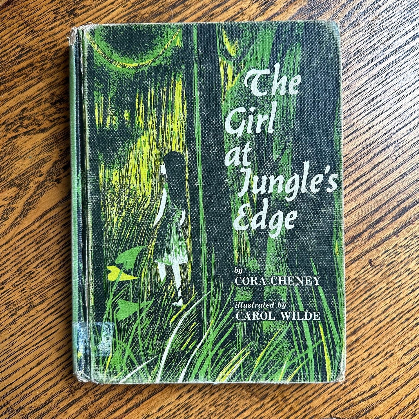 A Stack of 9 Vintage Illustrated Books for Kids