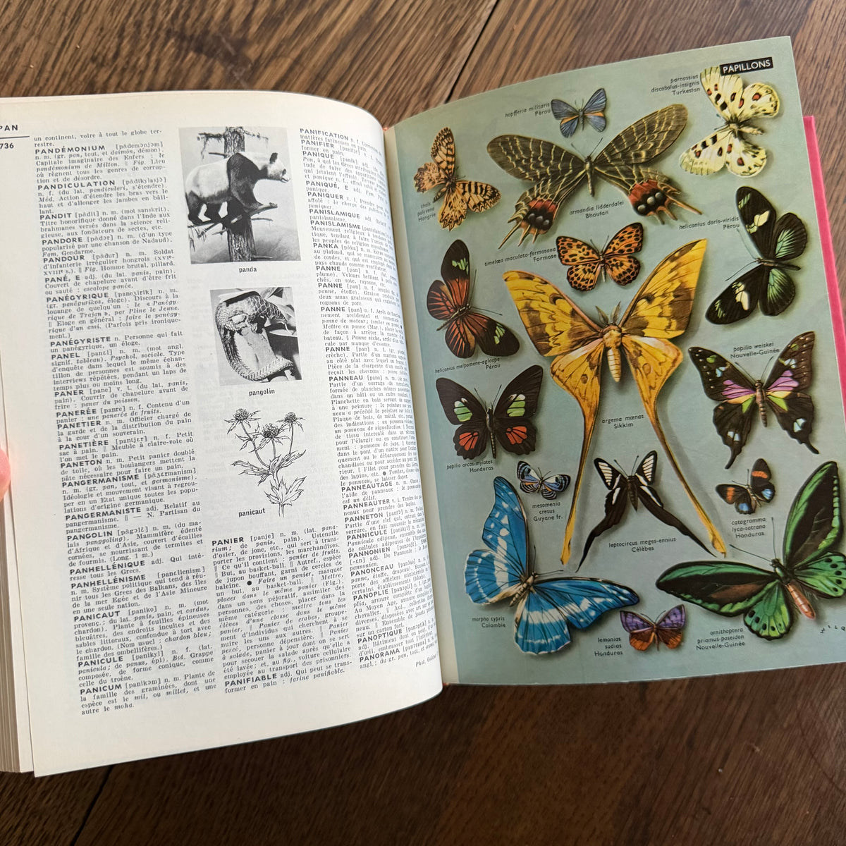 Petit Larousse Illustré, 1976 — French Encyclopedic Dictionary | 71,000 Articles, 5,535 Illustrations, Maps & Color Atlas | Librairie Larousse