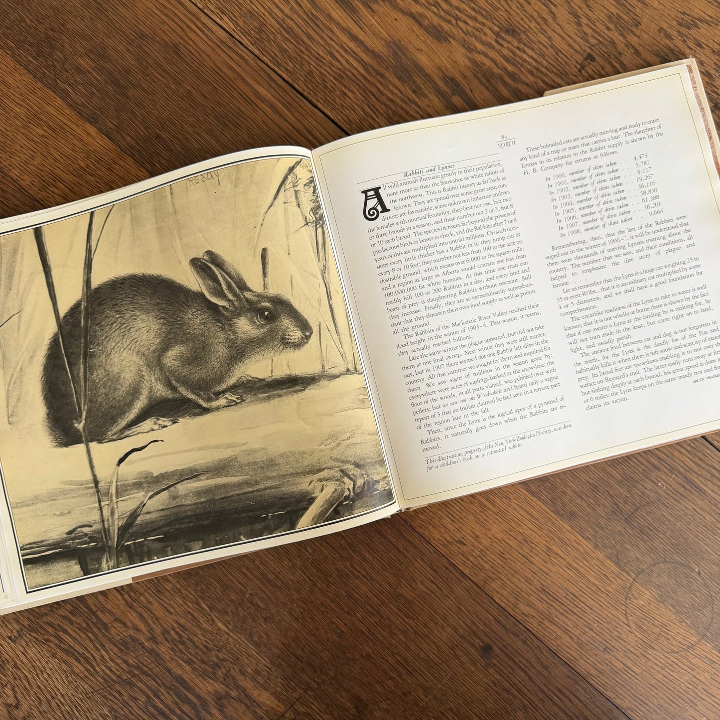 The Worlds of Ernest Thompson Seton -  1976 - First Edition - Edited by John G. Samson- Vintage Wildlife Art Nature Book