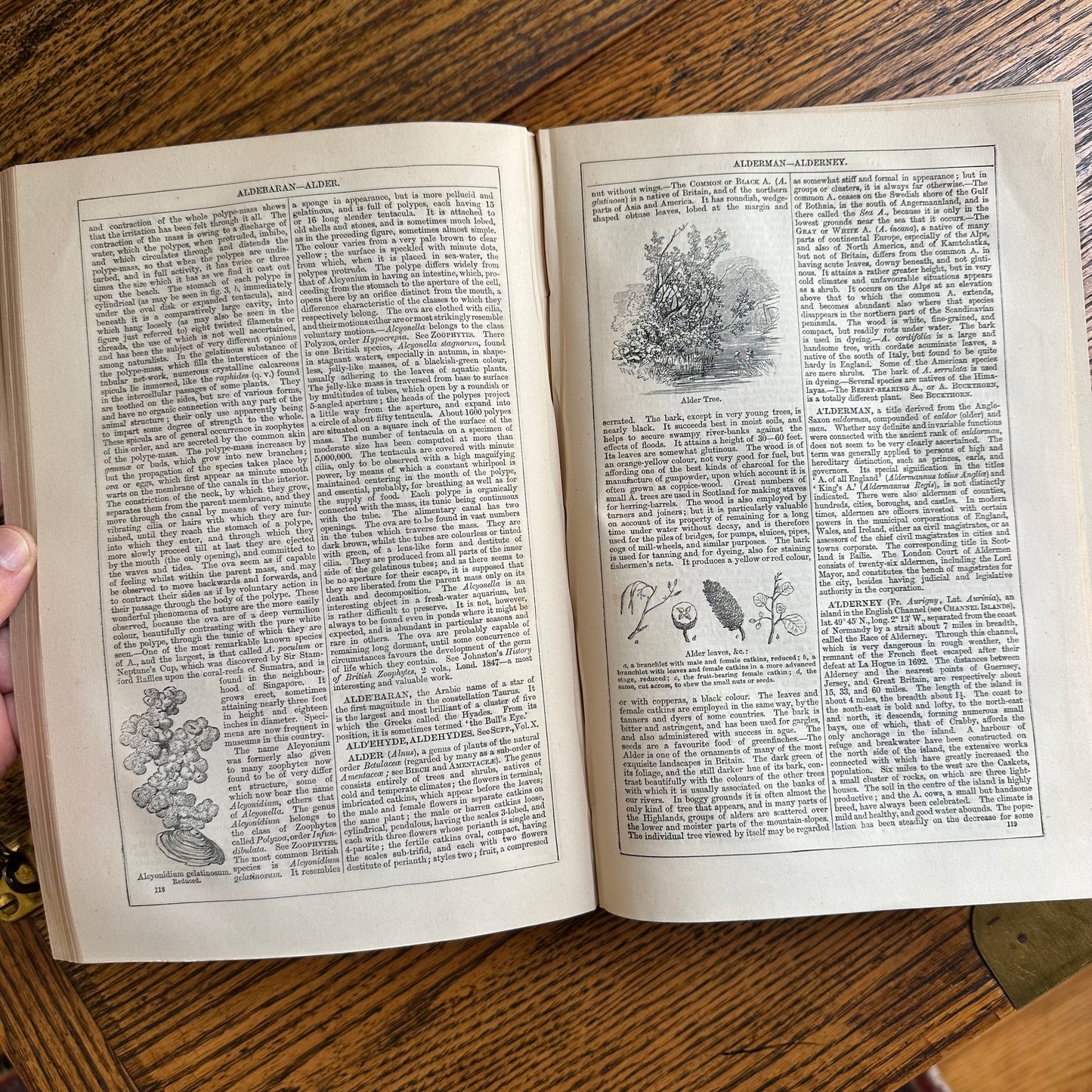 Chambers’s Encyclopaedia - 1877 - in 10 Volumes