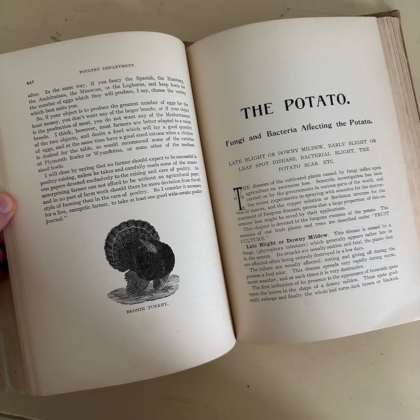 Hand-Book of Ready Reference for Farmers & Homesteaders - 1897