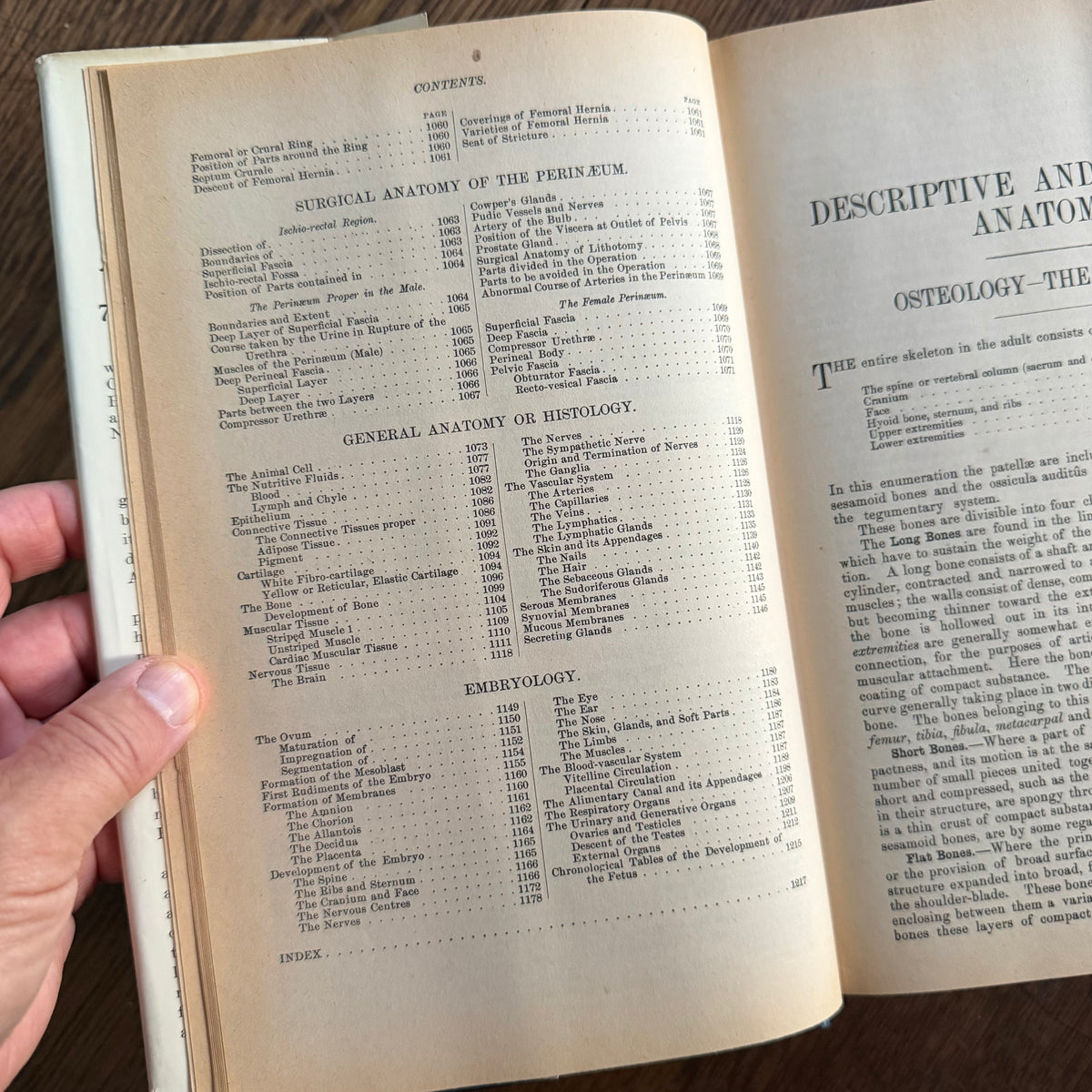 Gray’s Anatomy, 1977 Classic Collector’s Edition — Henry Gray, Descriptive & Surgical Anatomy | Bounty Books Hardcover, 780 Illustrations