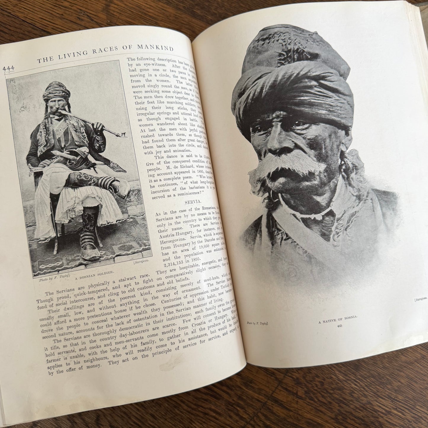 1908 Standard Library of Natural History Set | Antique Zoology Ethnography Books | Living Animals of the World | University Society NY