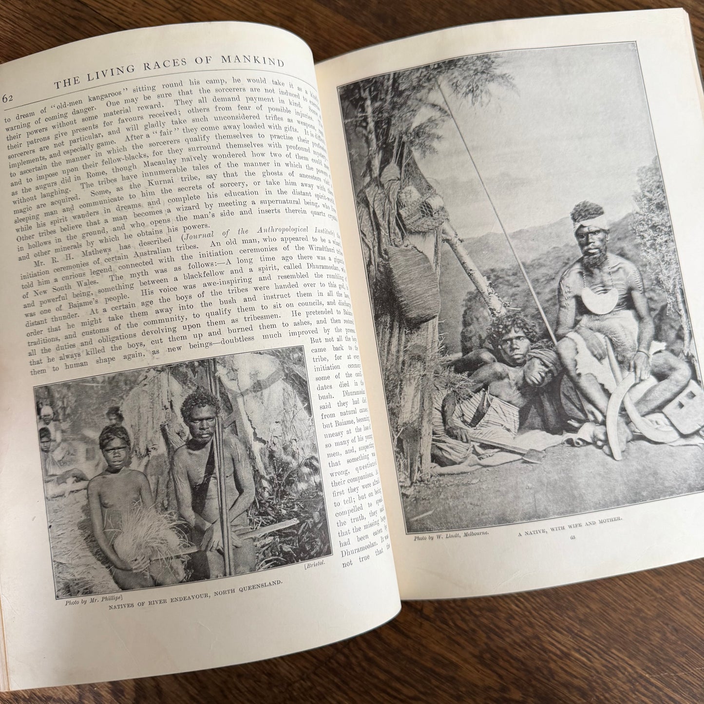 1908 Standard Library of Natural History Set | Antique Zoology Ethnography Books | Living Animals of the World | University Society NY