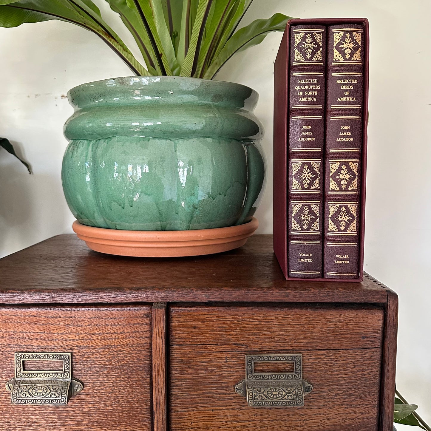 Set of 2 Slipcovered Volair Limited Editions of John James Audubon’s Classics - 1977