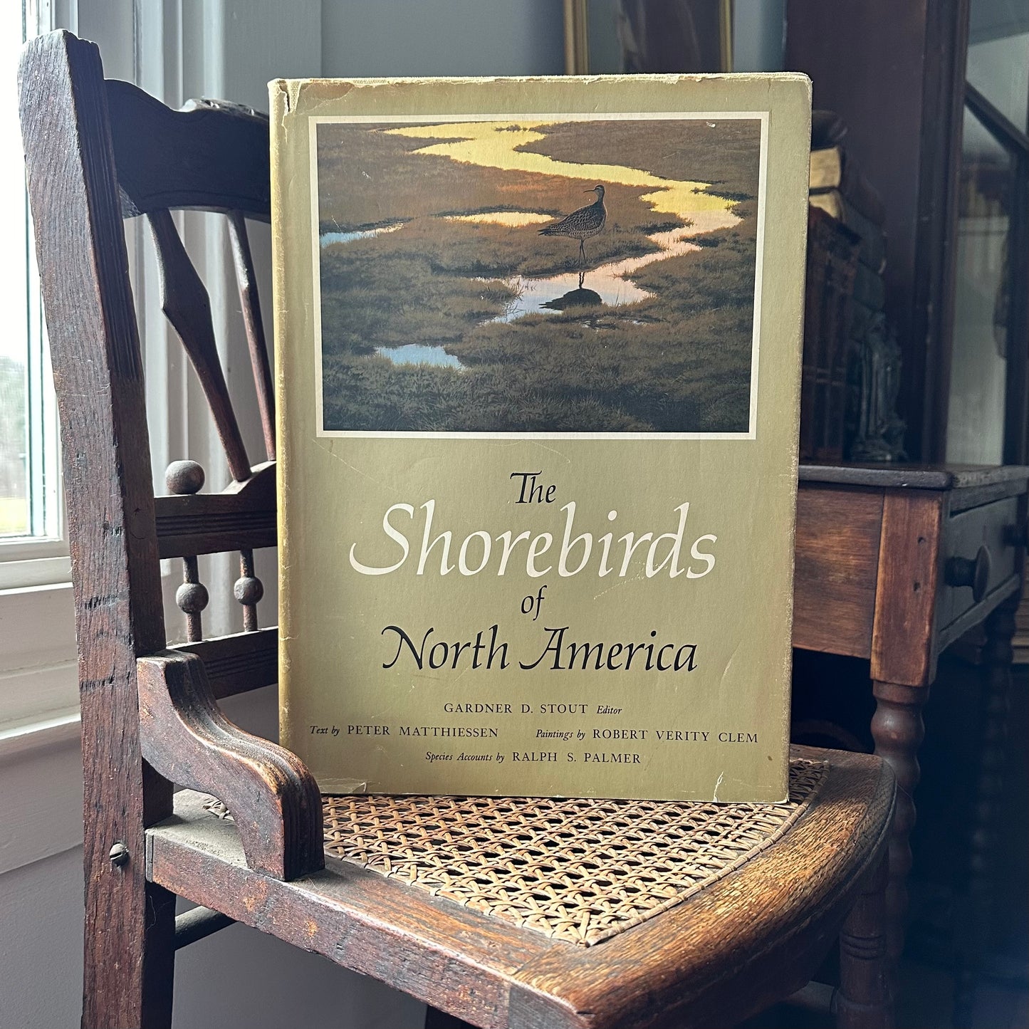 The Shorebirds of North America - 1967