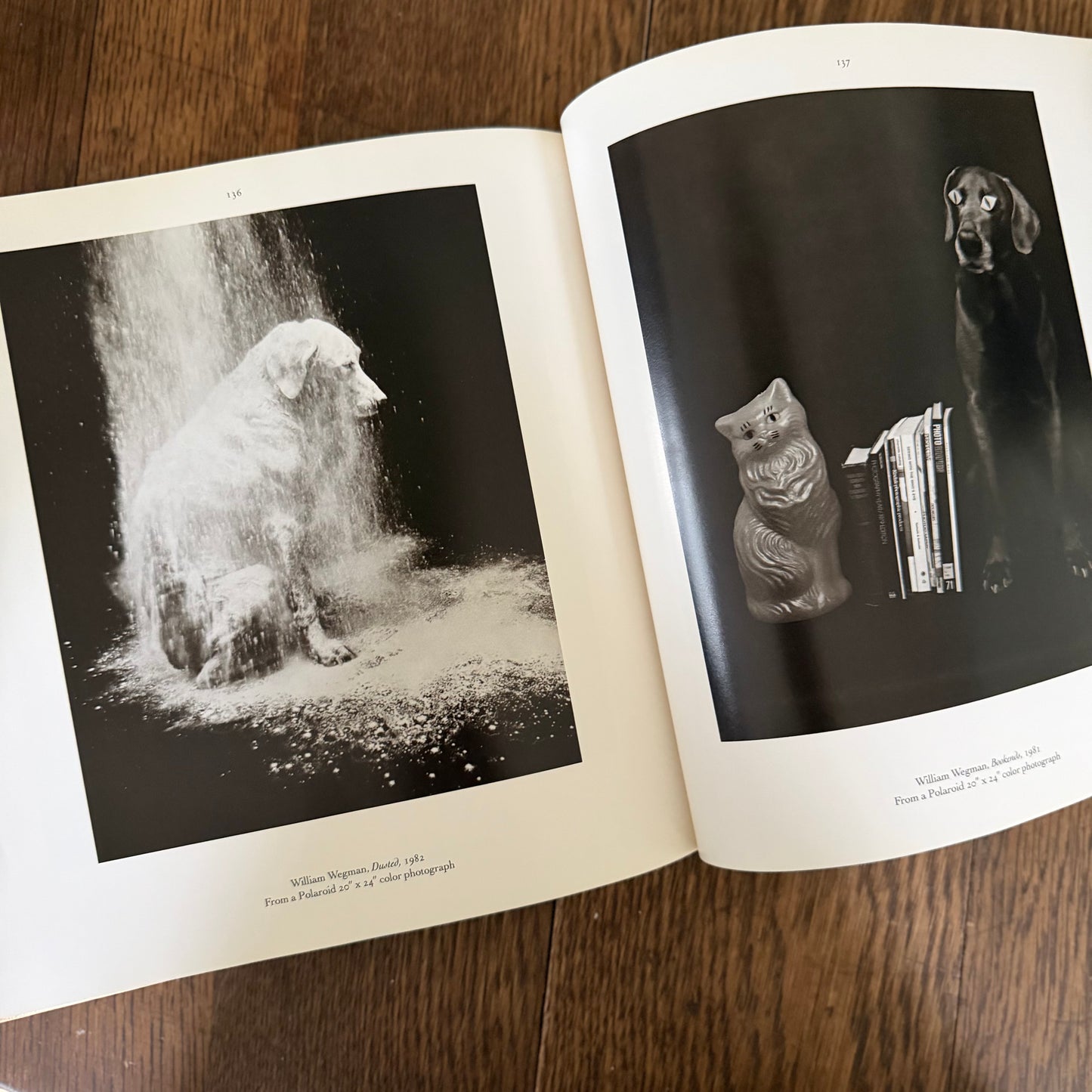 The Dog Observed: Photographs 1844-1983 by Ruth Silverman - Vintage Dog Photography Book