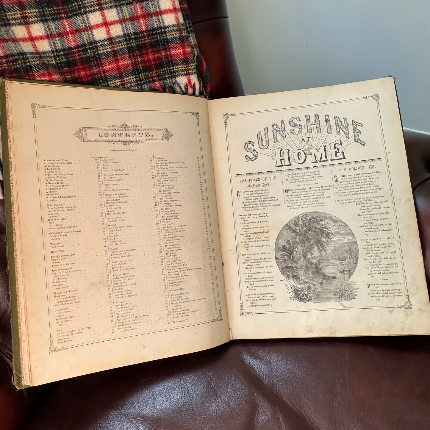 Sunshine at Home - 1883