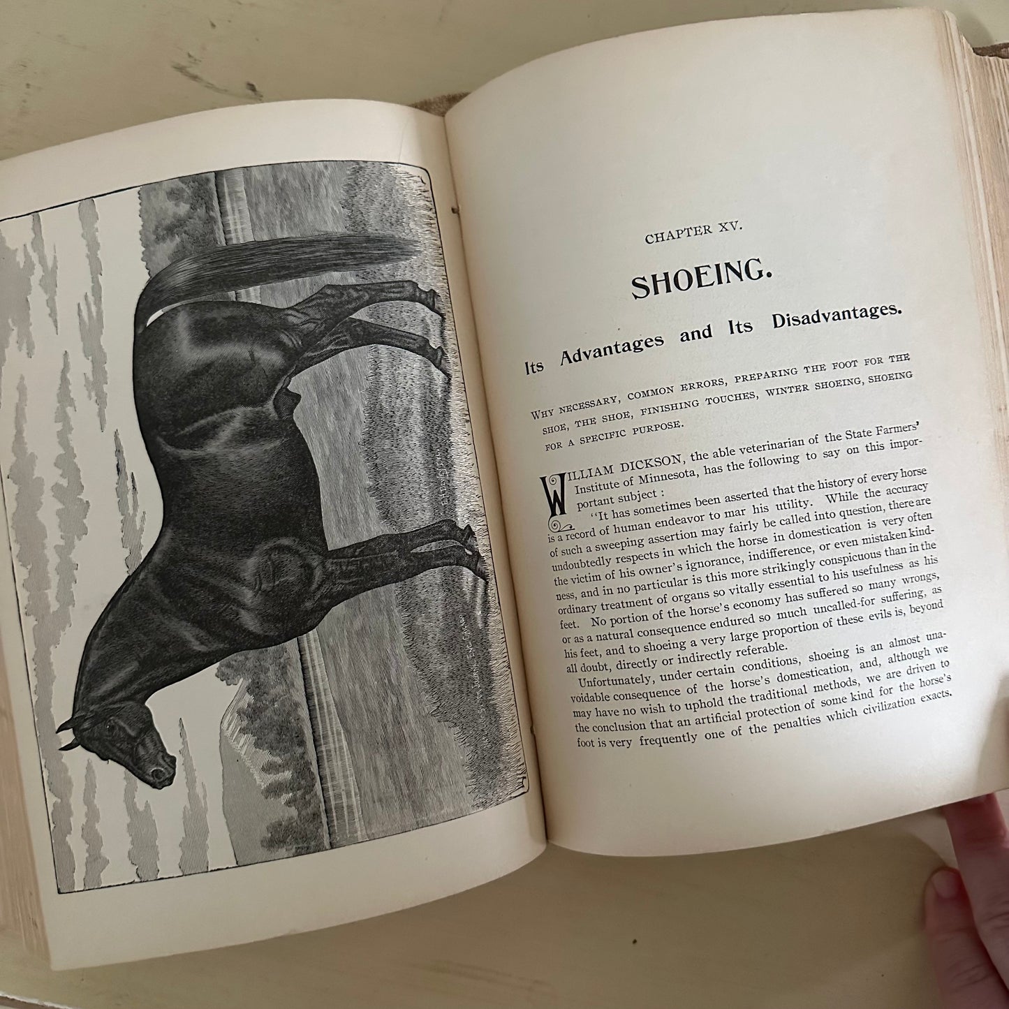 Hand-Book of Ready Reference for Farmers & Homesteaders - 1897