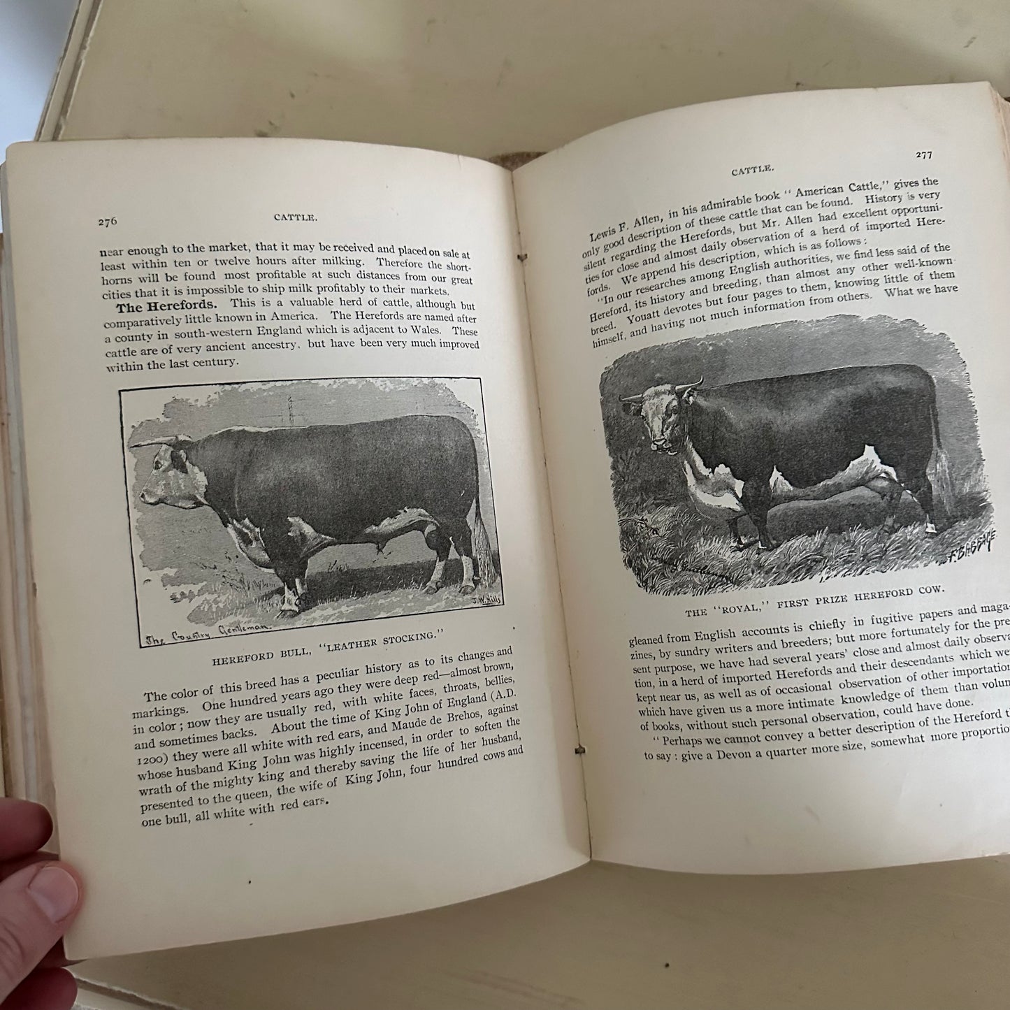 Hand-Book of Ready Reference for Farmers & Homesteaders - 1897