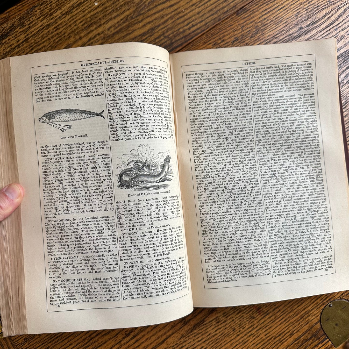 Chambers’s Encyclopaedia - 1877 - in 10 Volumes