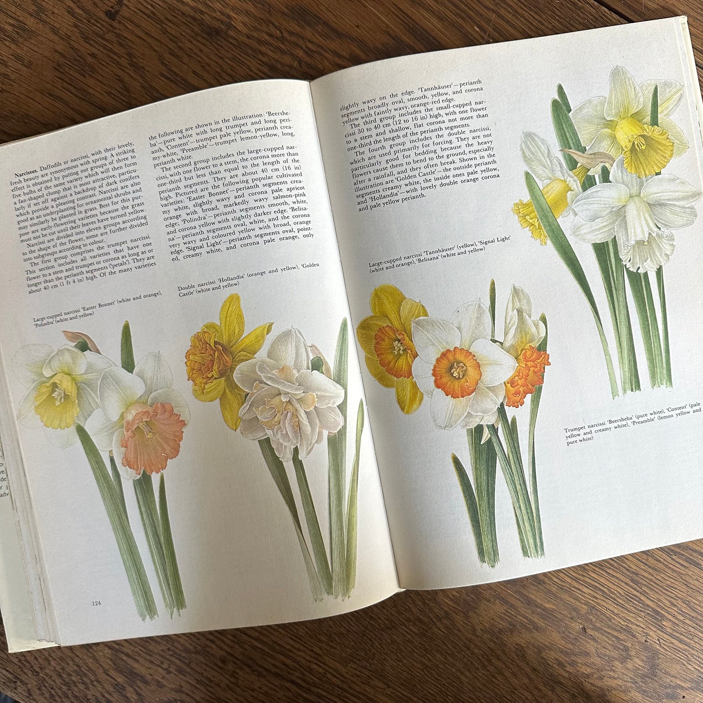 The Garden Flowers Book, 1986