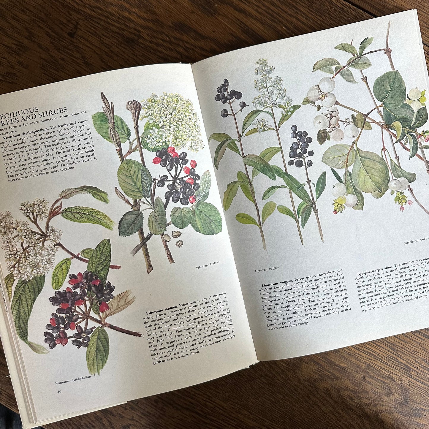 The Garden Flowers Book, 1986