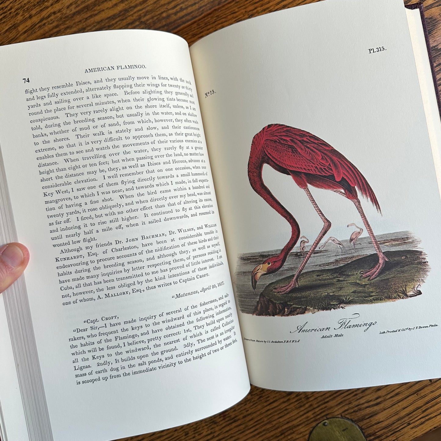 Set of 2 Slipcovered Volair Limited Editions of John James Audubon’s Classics - 1977