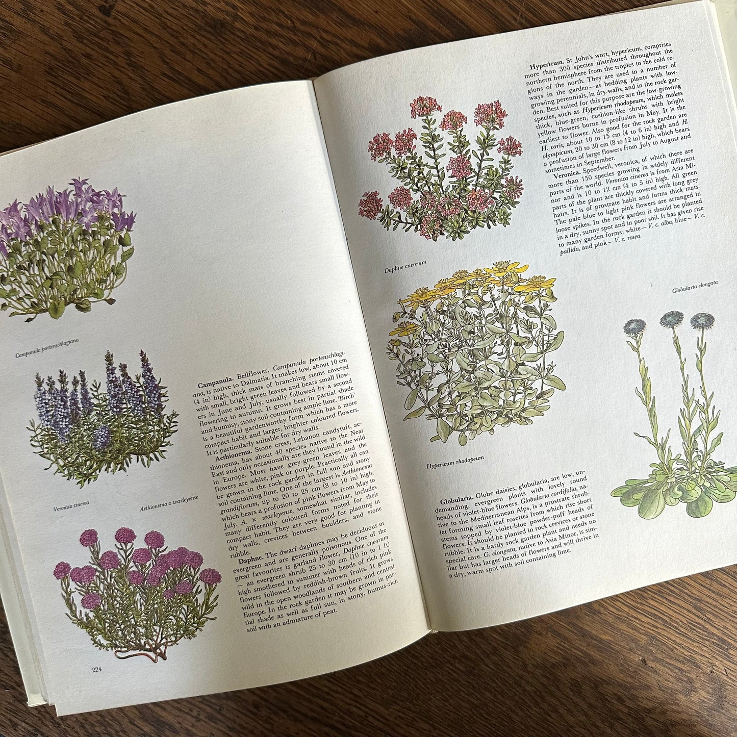 The Garden Flowers Book, 1986