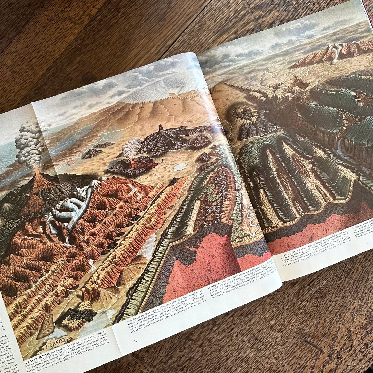 Beautifully Illustrated - The World We Live In - 1955