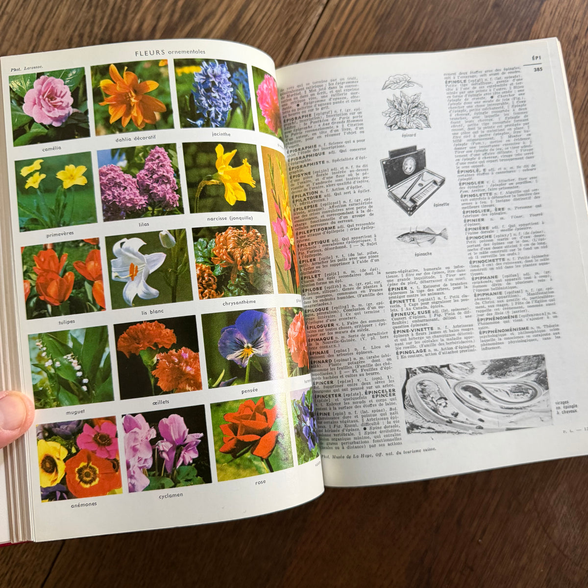Petit Larousse Illustré, 1976 — French Encyclopedic Dictionary | 71,000 Articles, 5,535 Illustrations, Maps & Color Atlas | Librairie Larousse