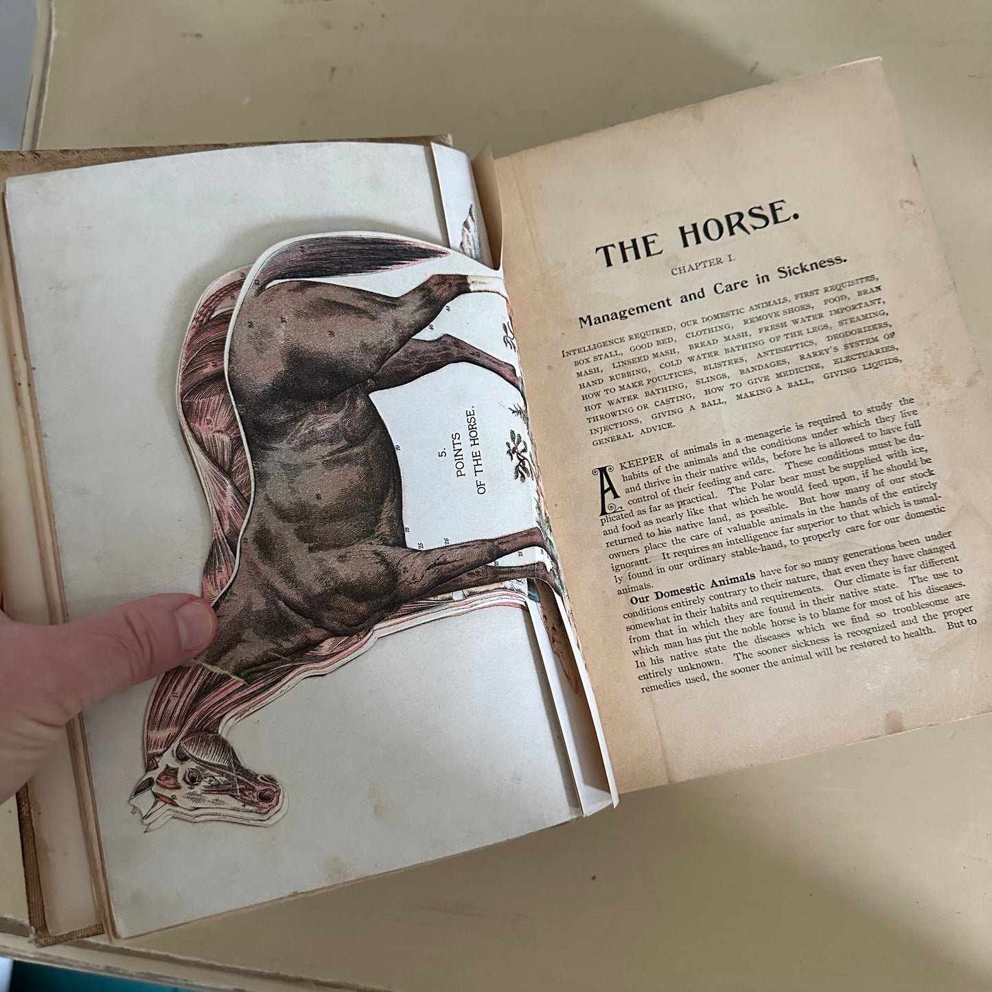 Hand-Book of Ready Reference for Farmers & Homesteaders - 1897