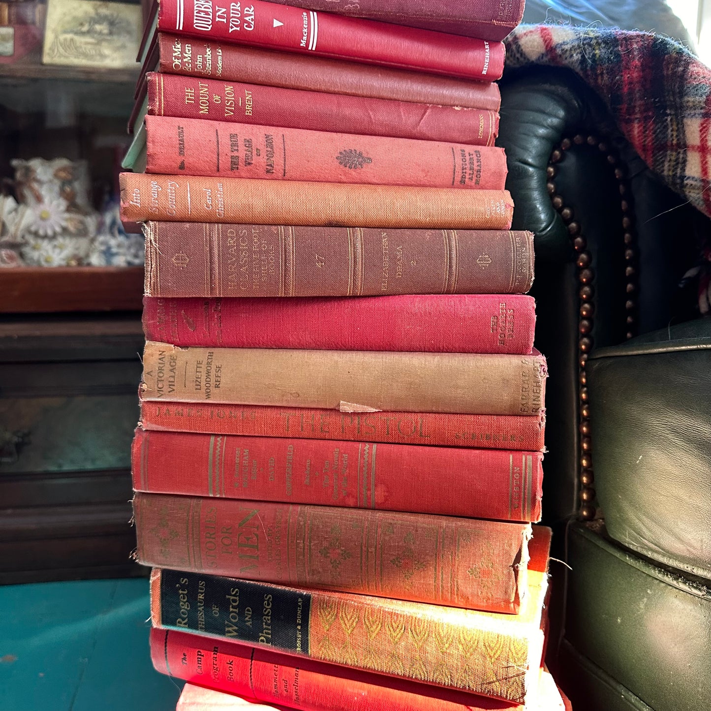 Valentine’s Day is Coming!  And YOU Need a Stack of 25 Red Books!