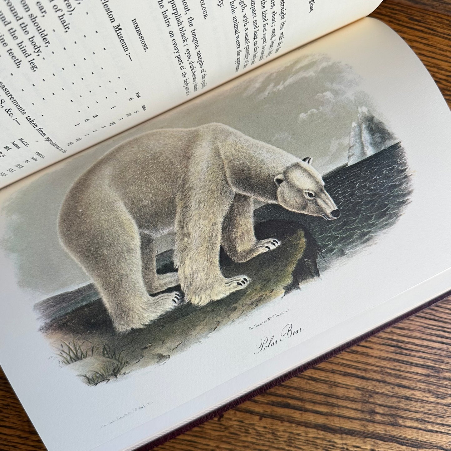 Set of 2 Slipcovered Volair Limited Editions of John James Audubon’s Classics - 1977