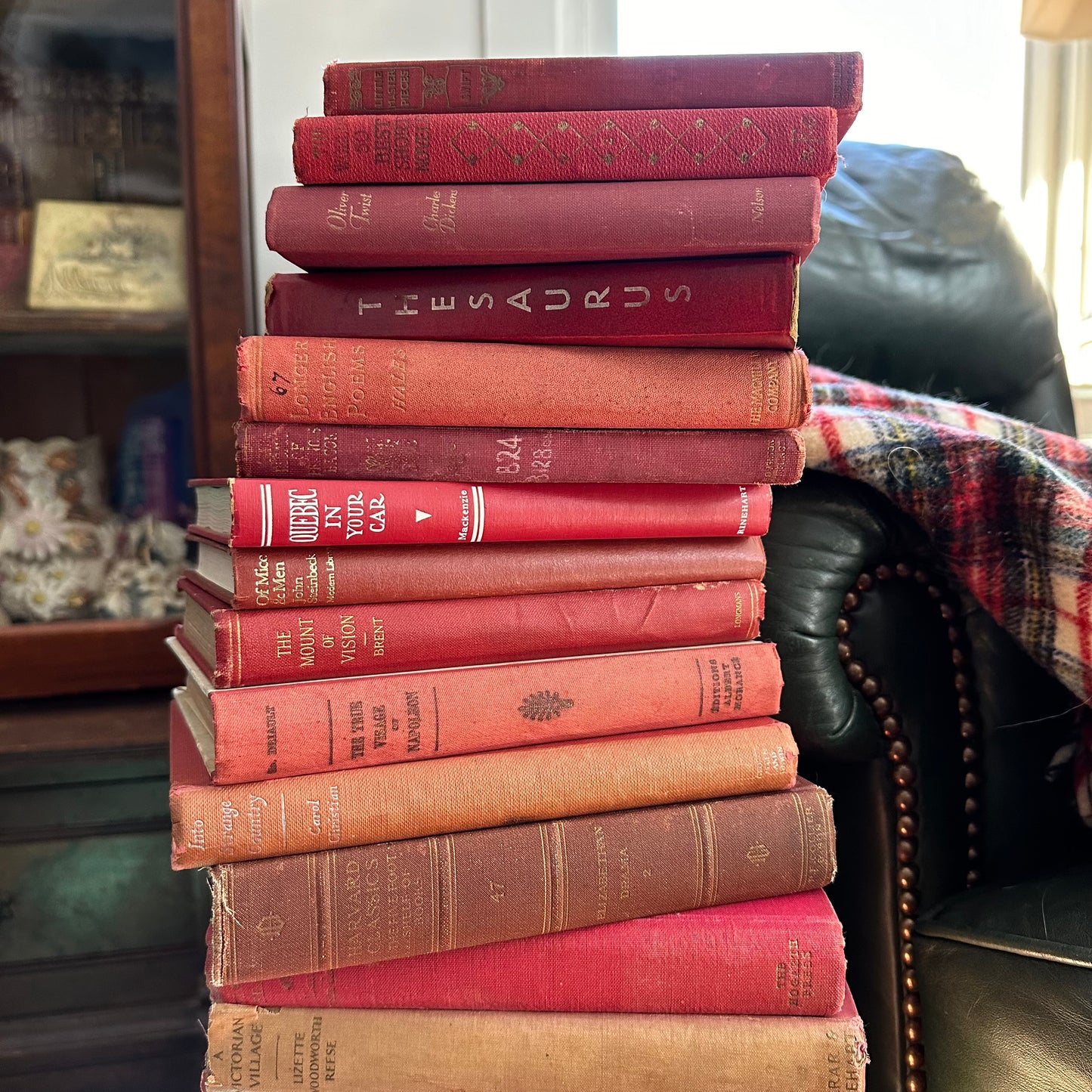 Valentine’s Day is Coming!  And YOU Need a Stack of 25 Red Books!