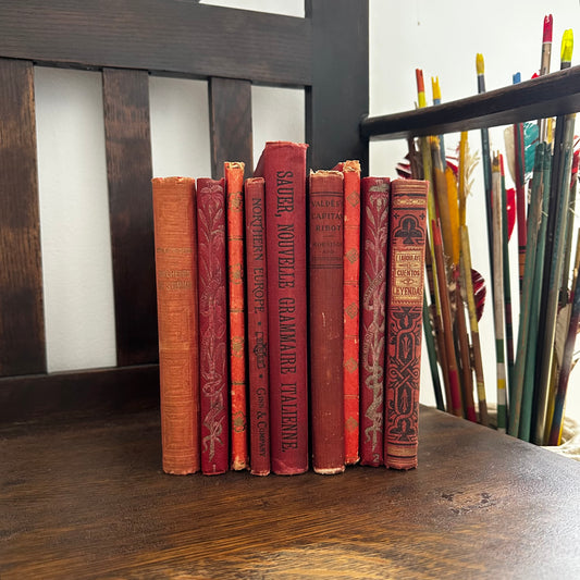 World Literary & Language Set of 9 Antique Books Foreign Countries Classics, Grammar, Fiction & Cultural Travel Collection