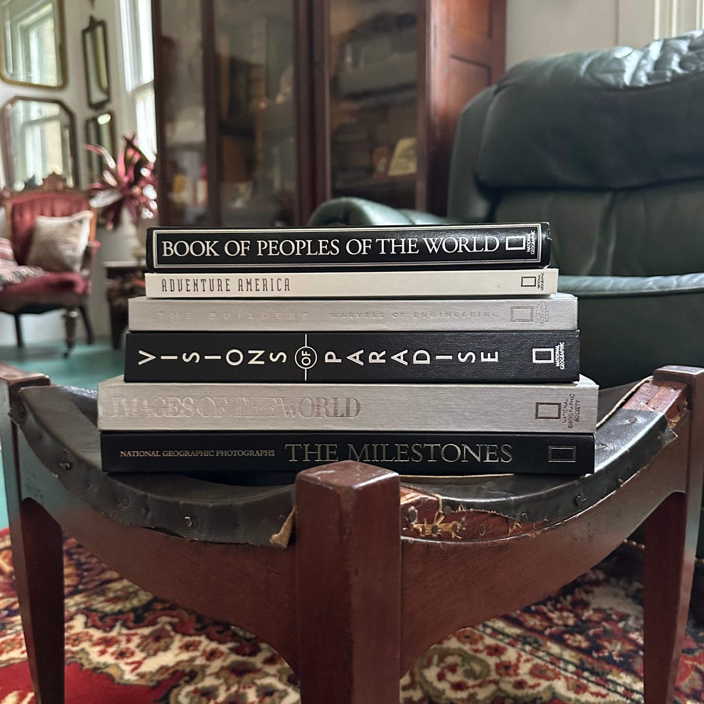 Stack of 6 Vintage NatGeo Coffee Table Books in Silver, White, and Black